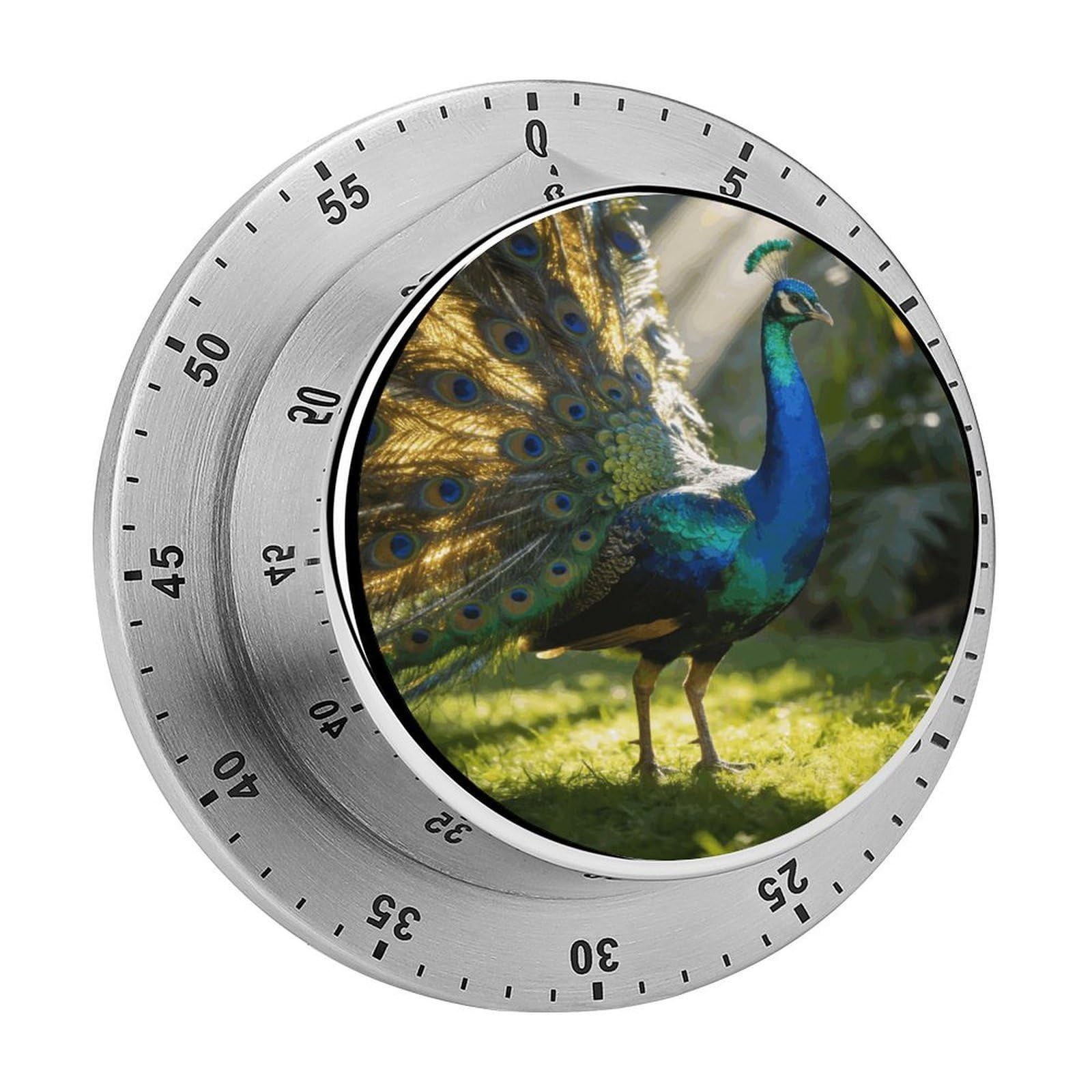 Peacock Mechanical Kitchen Timer, Magnetic Stainless Steel Countdown Timer, Loud Alarm Cooking Timer for Baking, Cooking, Fitness, Classroom, No Battery Needed