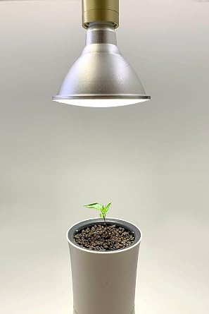 Botanium 15W LED Grow Light with E27 Socket - Plant Light for Indoor Plants, Full Spectrum, Neutral White Hue, Highly Efficient, Year-Round Use