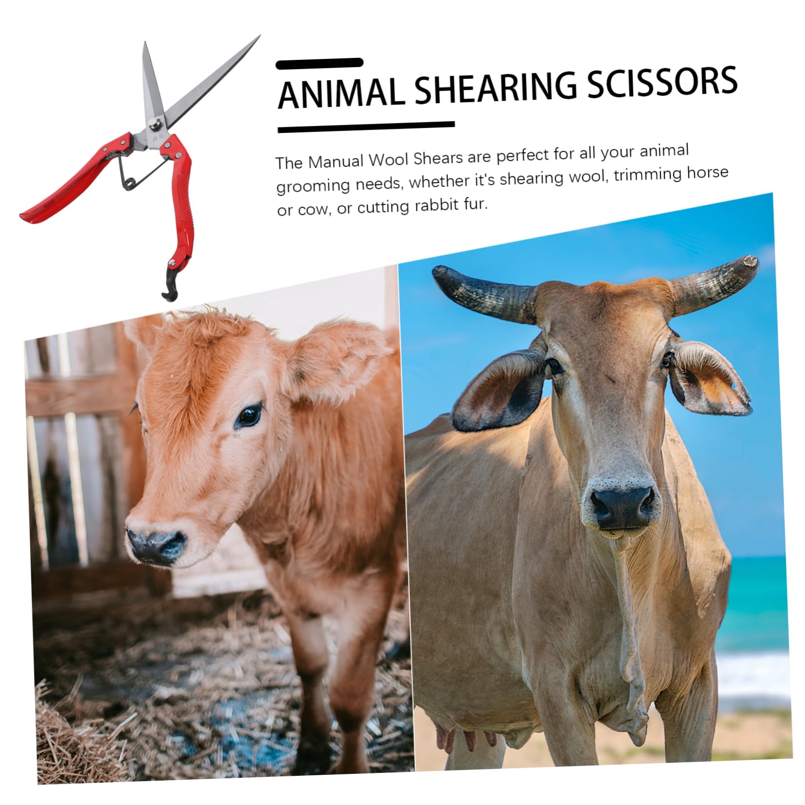 Sosoport 4piezas Tijeras De Lana Para Ovejas y Animales De Ergonomía Eficientes y Cómodos Para Ganado y