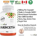 PlantVital Quercetin - Fabriqué au Canada - 1000mg Par jour - Les suppléments de quercetine comme source puissante d'antioxydant et de protection des vaisseaux sanguins - Facile à avaler - 45 Nombre de jours d ' approvisionnement - 90 Gélules de végétaliens
