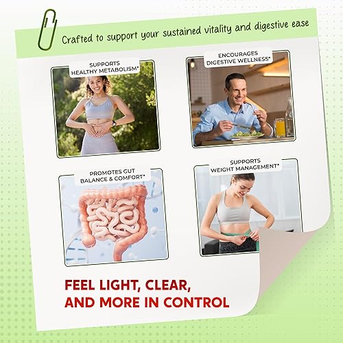 Miniatura 3 de Gymnema Sylvestre Berberina de canela de Ceilán todo en 1, alta potencia s para la salud digestiva y apoyo al metabolismo