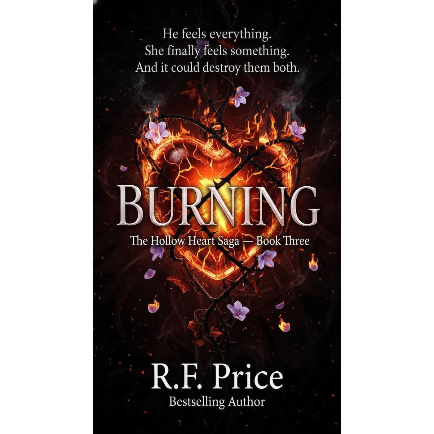 BURNING: A Teen & Young Adult Fantasy