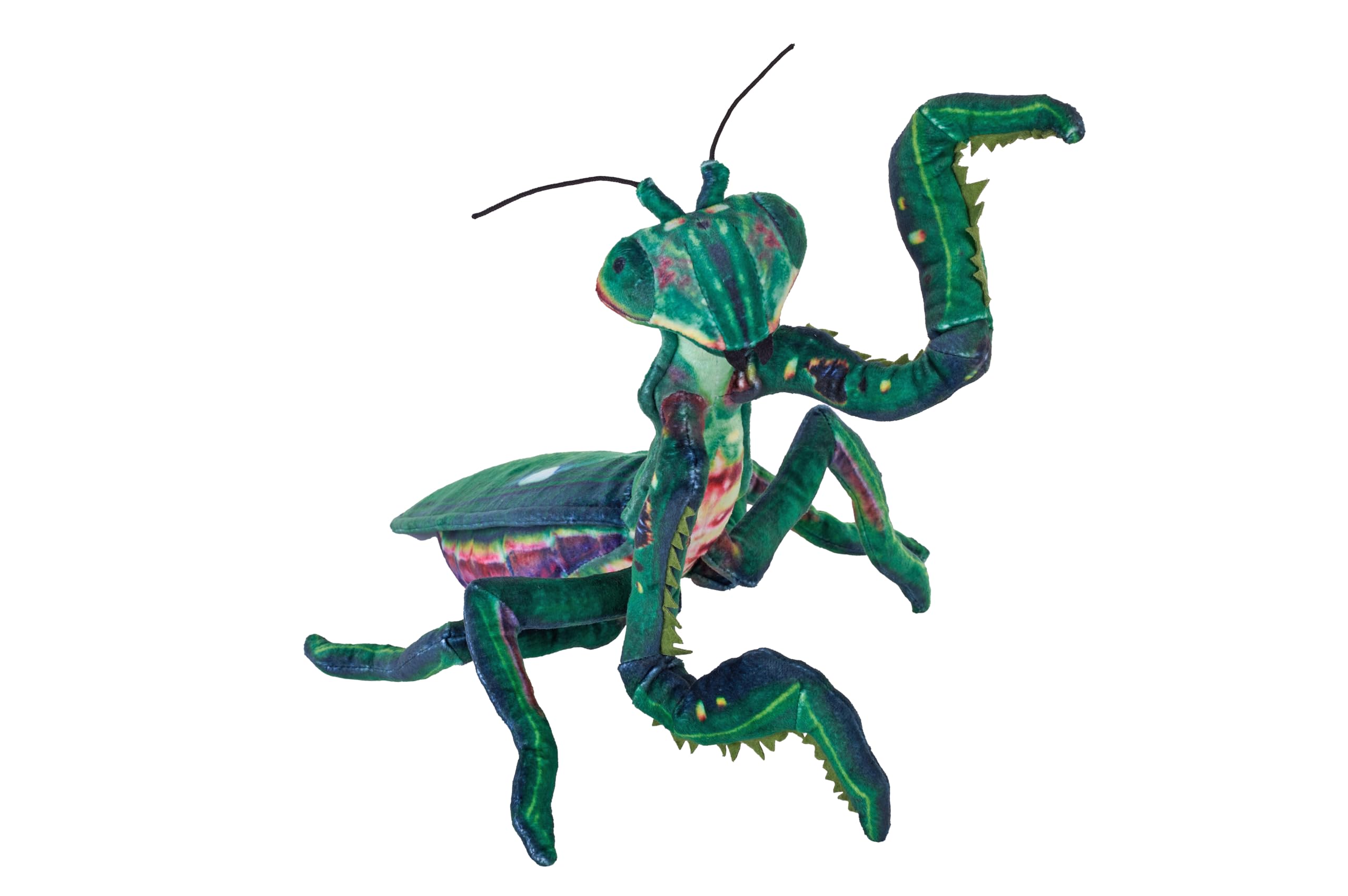 Amazon.com: Wild Republic Living Earth Praying Mantis, Stuffed