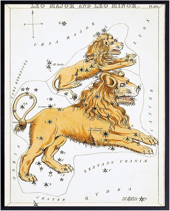 YELLOWBIRD ART & DESIGN Vintage Leo Astrological Zodiac Chart - Ready to Frame (8x10) Photo - Great Gift and Chic Home Decor