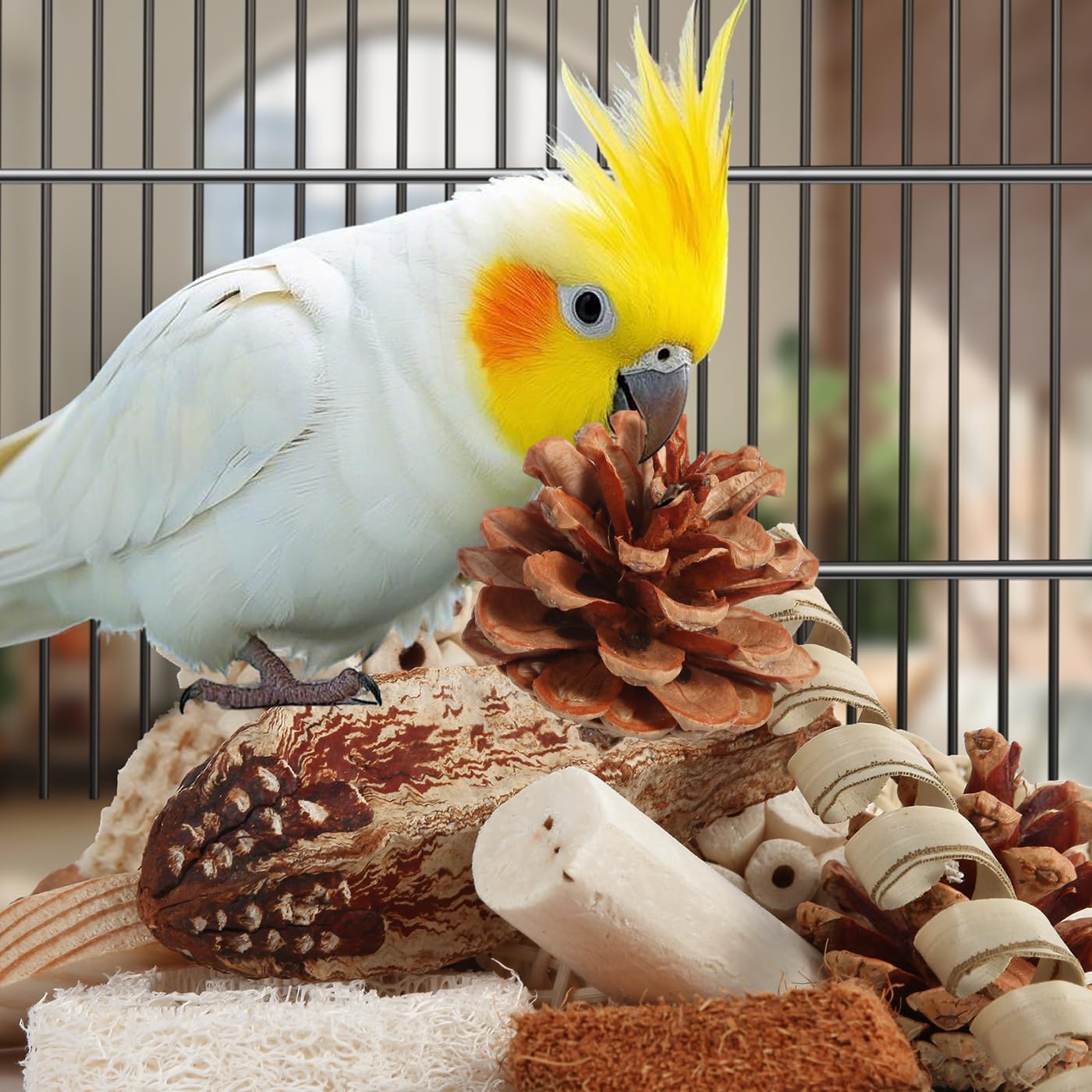 Día mundial del reciclaje: reducir, reutilizar y reciclar en la industria  del libro - Peón Negro Editores, image size:1400x1400