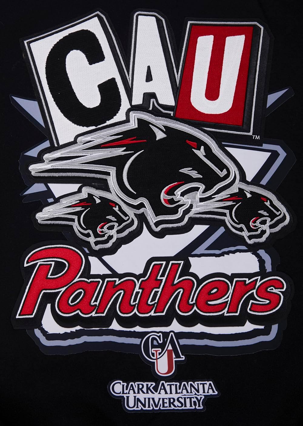 Pro Standard NCAA mens Mens College Campus Ransom Varsity Jacket - Image 5