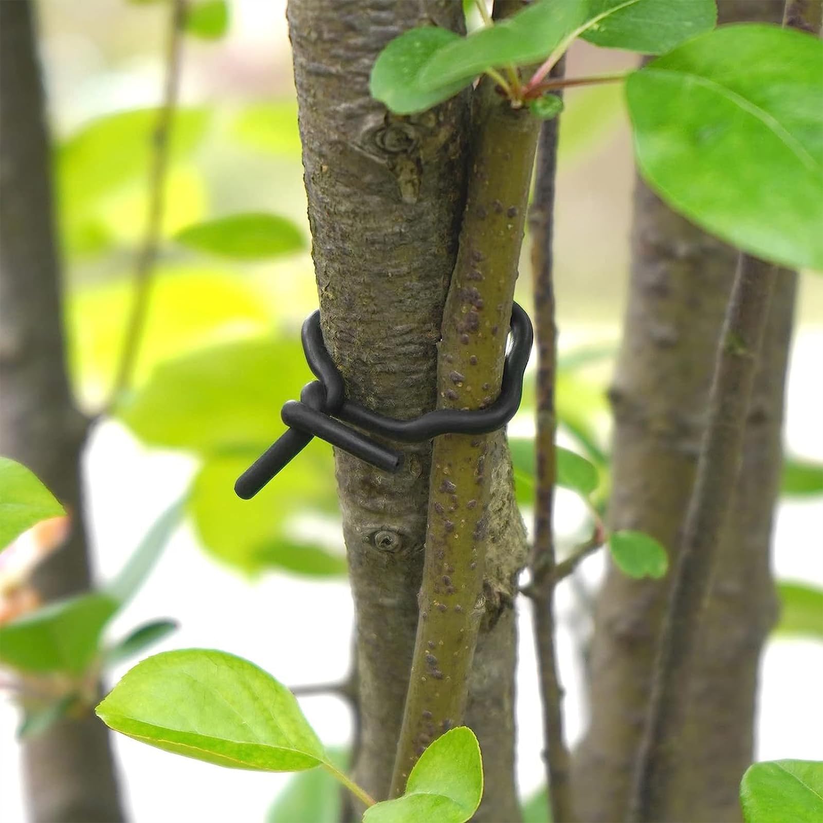 Alambres De Encuadernacion Negro 3/4 Pulgadas - MasterNet Panamá