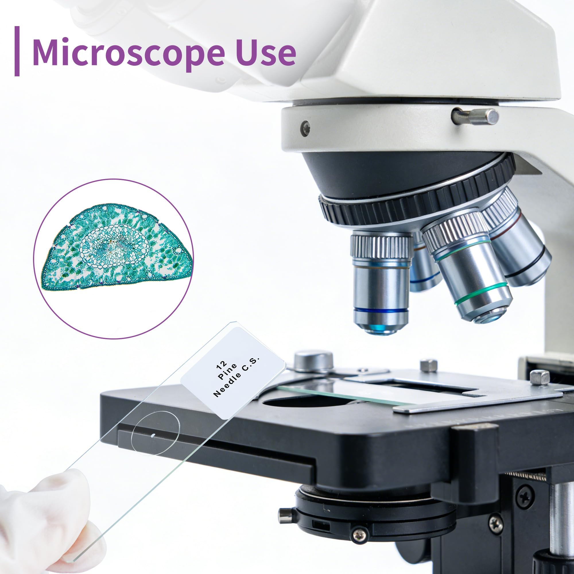 100 vetrini preparati per microscopio, vetrini per microbiologia, per bambini, adulti, LVQ092