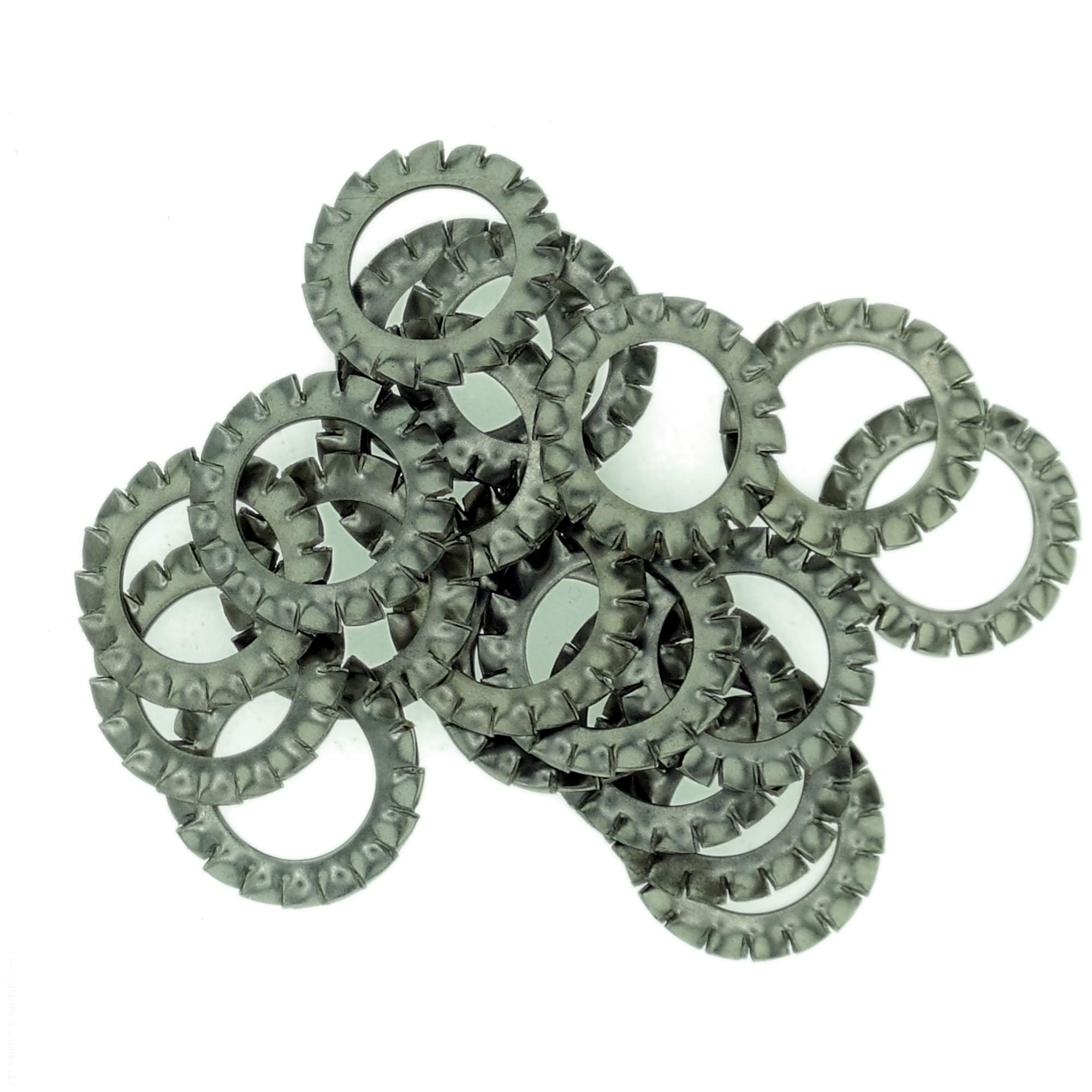 Singularity Supplies M16 (16Mm) Shakeproof Washer (External Serrated) - Stainless Steel (A2) (Pack Of 20)