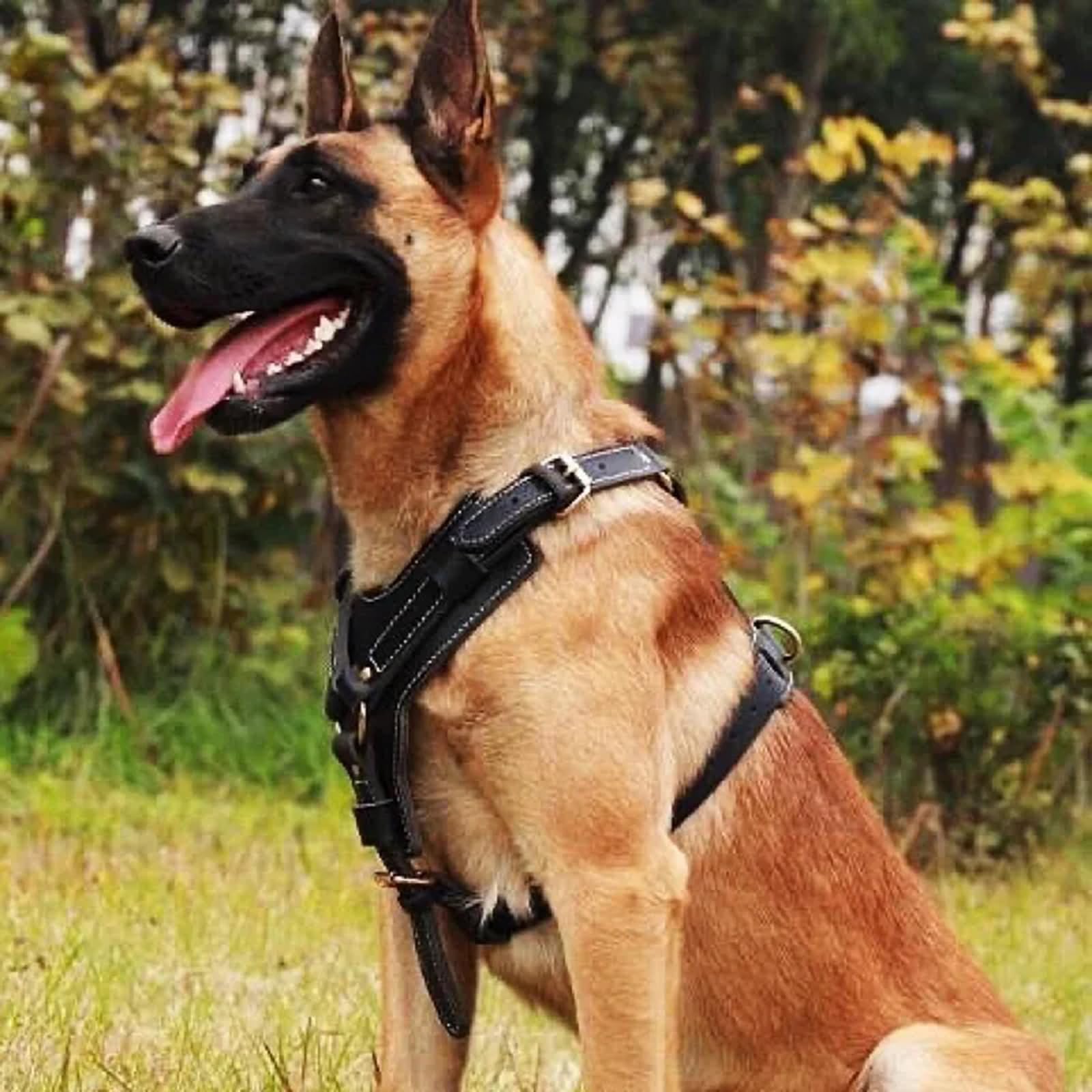 Durable Arnés del Perro Perros Grandes Arneses De Cuero Genuino Chaleco De Adiestramiento con Asa De Control Rápido para Labrador Pitbull(Size:L)