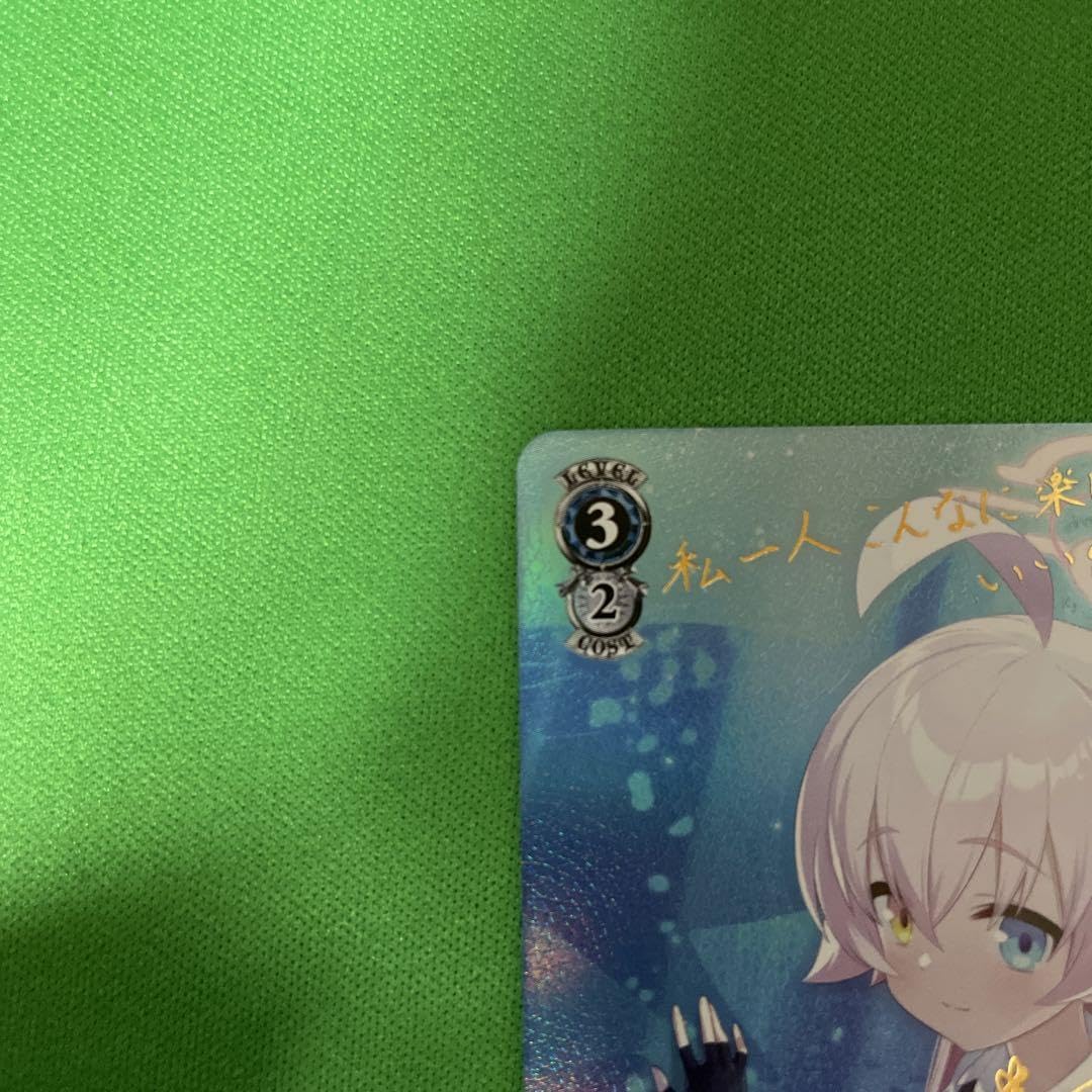 SP 小鳥遊ホシノ1 SP 小鳥遊ホシノ1 【公式通販】