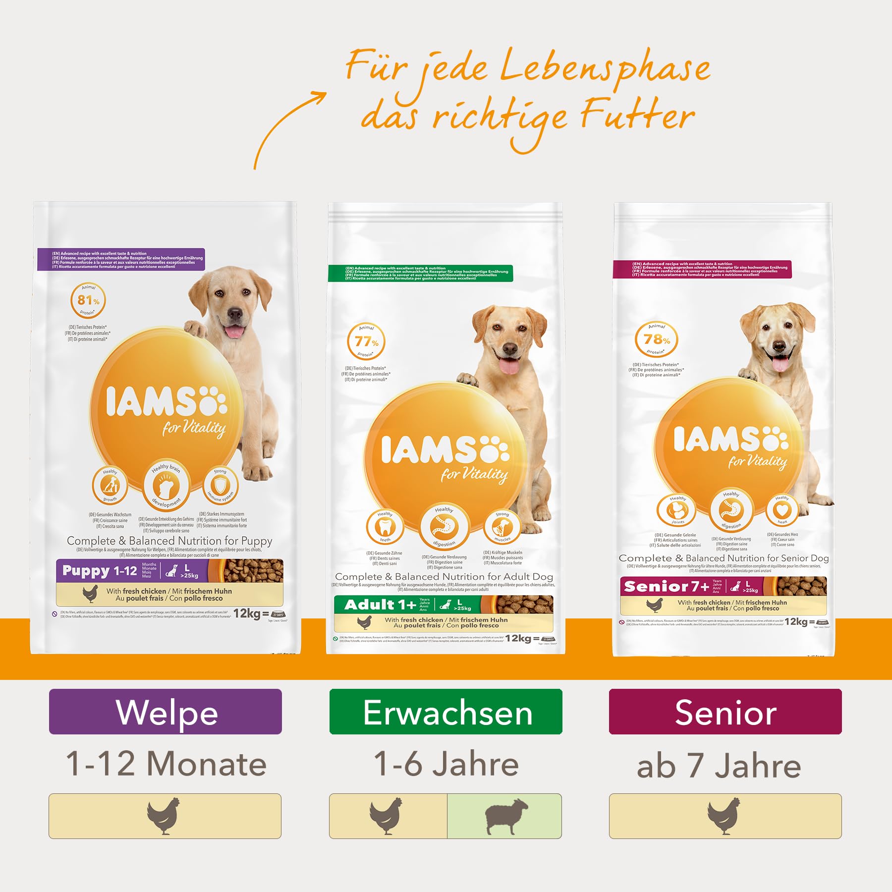IAMS for Vitality Junior Hundefutter trocken - Welpenfutter für Welpen im Alter von 1-12 Monaten, geeignet für große Rassen, 12 kg