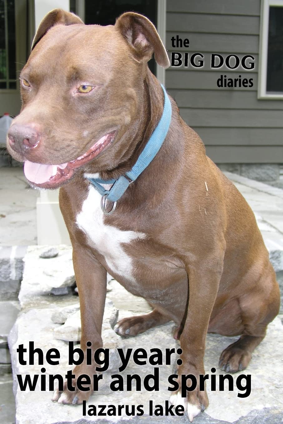 The Big Year - Winter and Spring: Volume 5 (The Big Dog Diaries)