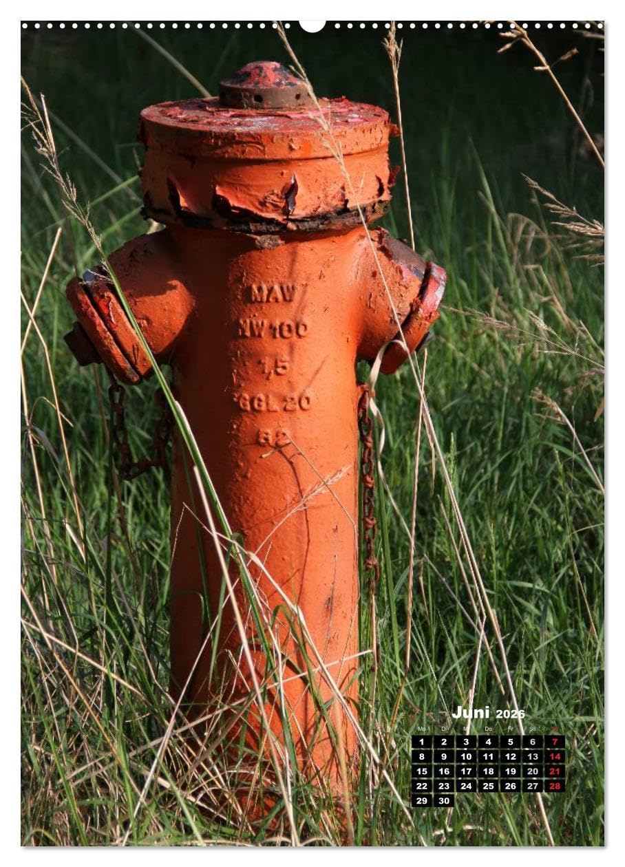 Nostalgie Hydranten (hochwertiger Premium Wandkalender 2026 DIN A2 hoch), Kunstdruck in Hochglanz: Hydranten am Straßenrand (CALVENDO Technologie)