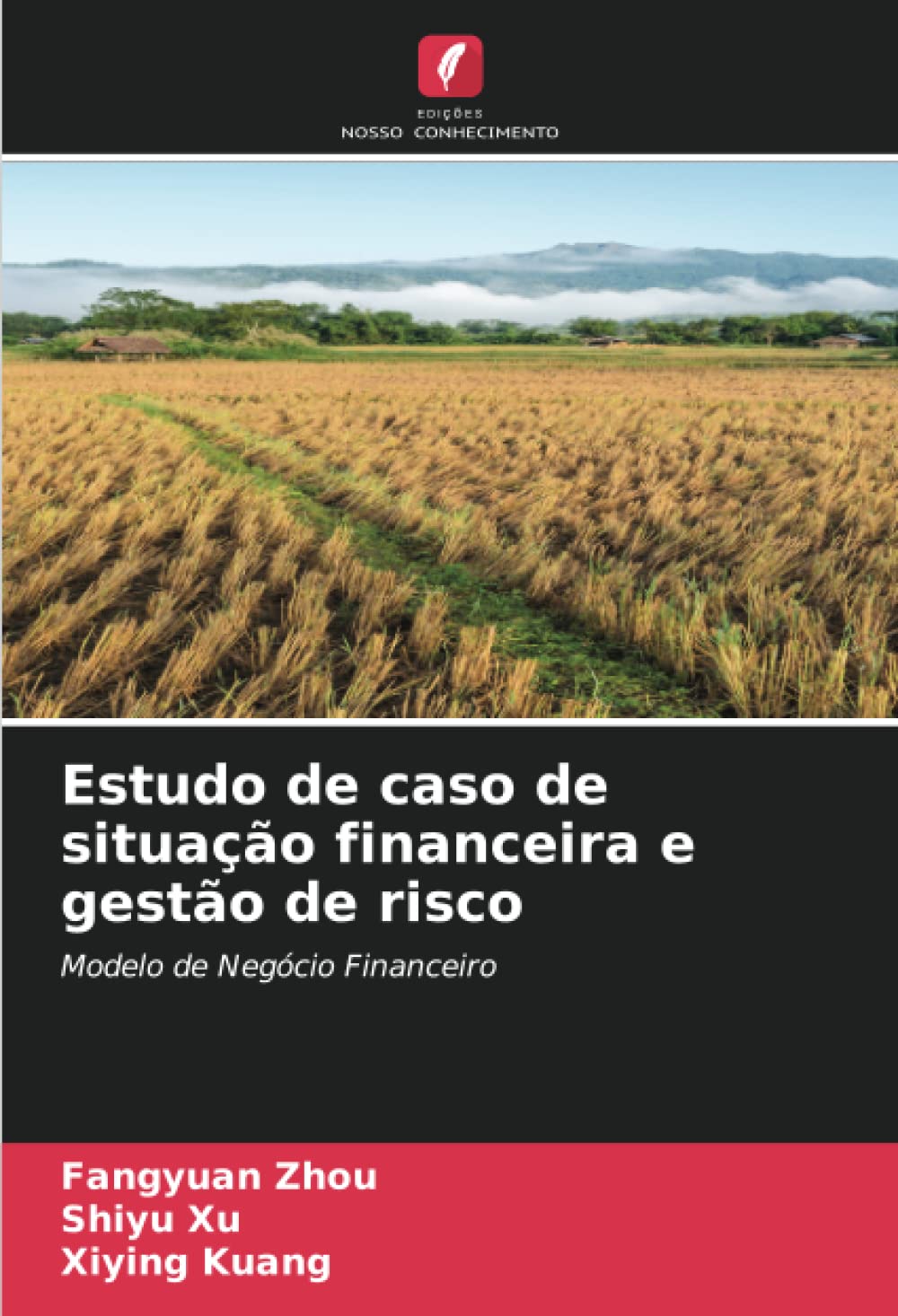 Estudo de caso de situação financeira e gestão de risco: Modelo de Negócio Financeiro