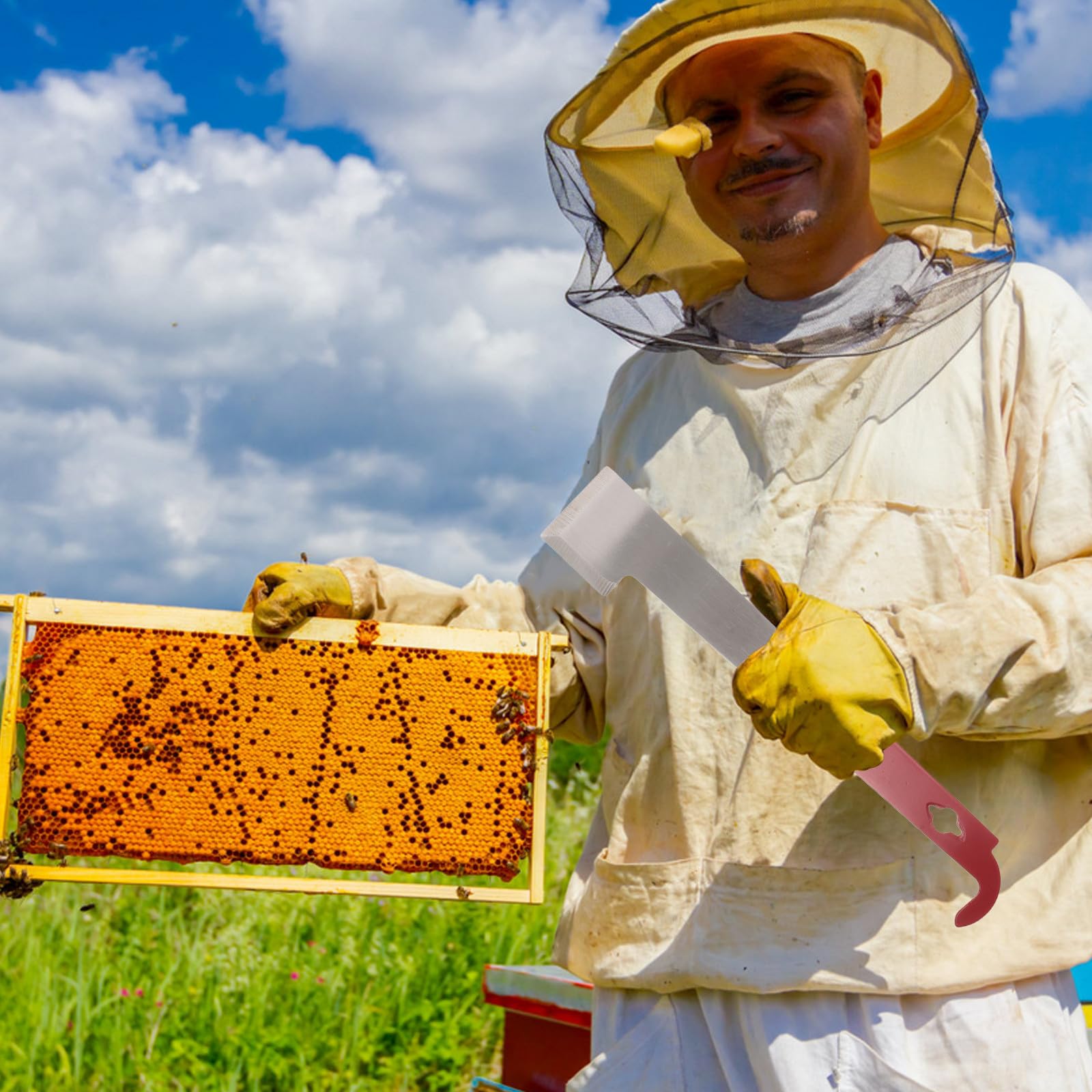 INOOMP Set di 5 attrezzi per apicoltura: sollevatore per telaini in acciaio, gancio per raschietto per , leva per arnia con impugnatura antiscivolo, gadget per la manutenzione 'arnia