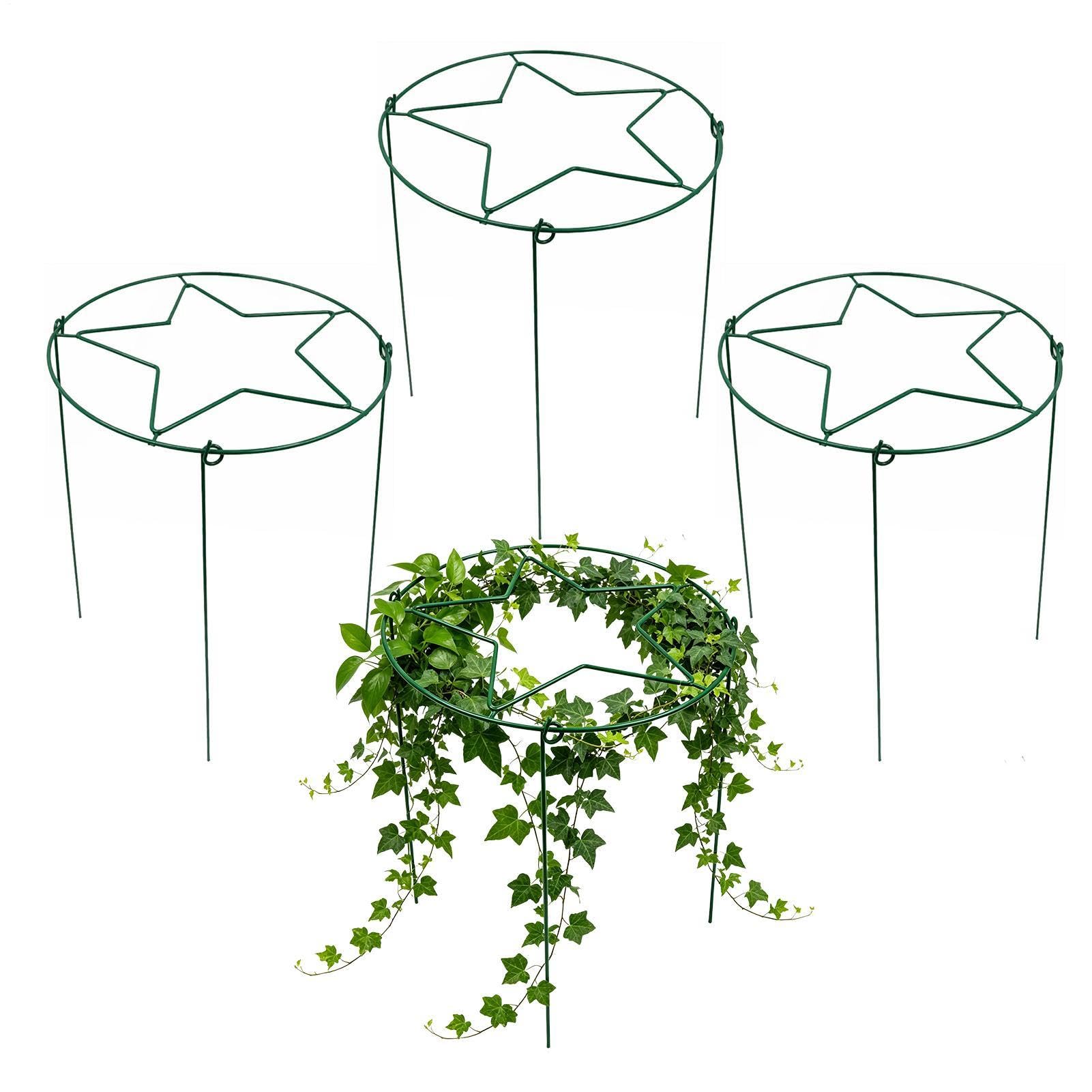 Cage de Support pour Pivoines Lot de 4 Tuteurs de Jardin Réutilisables