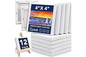 ESRICH Mini Stretched Canvases: A Comprehensive Guide to Empower Your Artistic Dreams