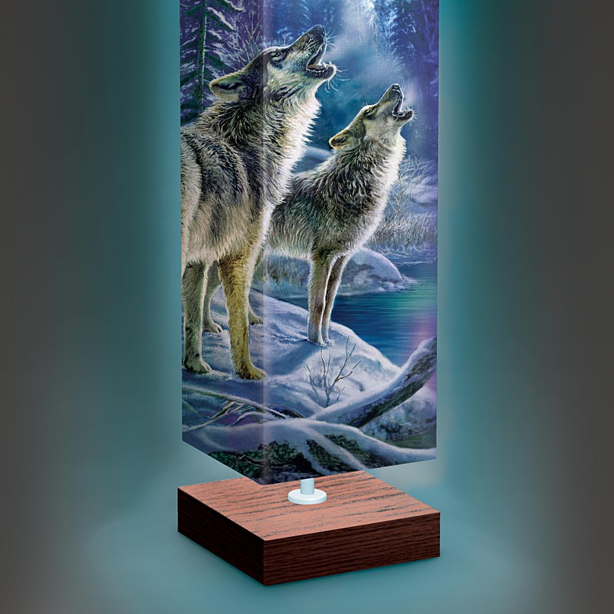 The Bradford Exchange Aurora Borealis Floor Lamp Featuring