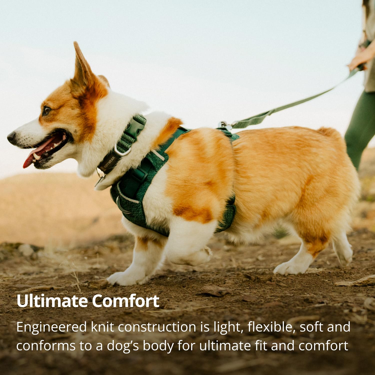 Amazon | RUFFWEAR(ラフウェア) フロントレンジフレックスカラー