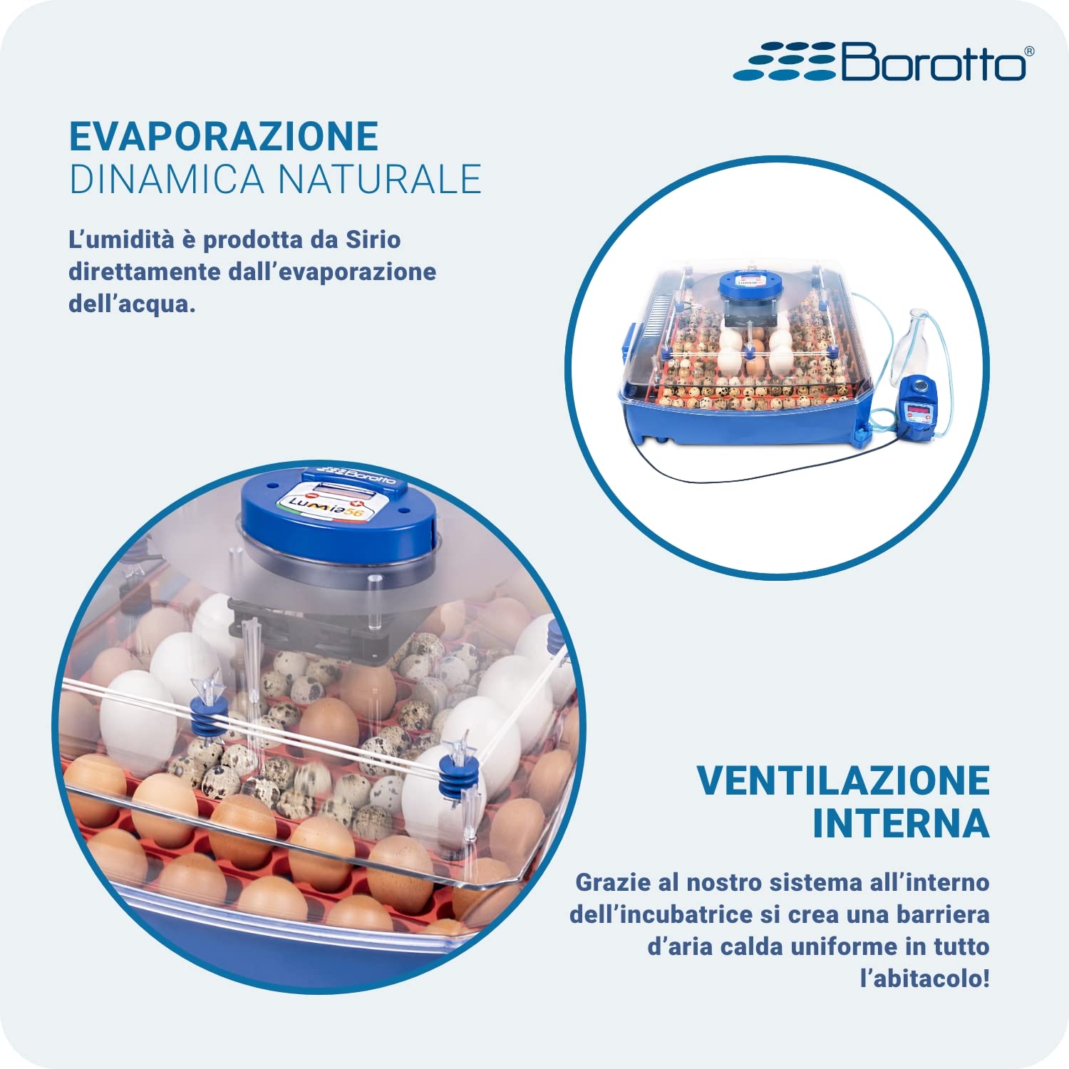 Borotto Lumia Expert | Incubatrice per Uova Automatica con Girauova Automatico, Controllo Temperatura e Umidificatore Automatico Sirio | Made in Italy (56)