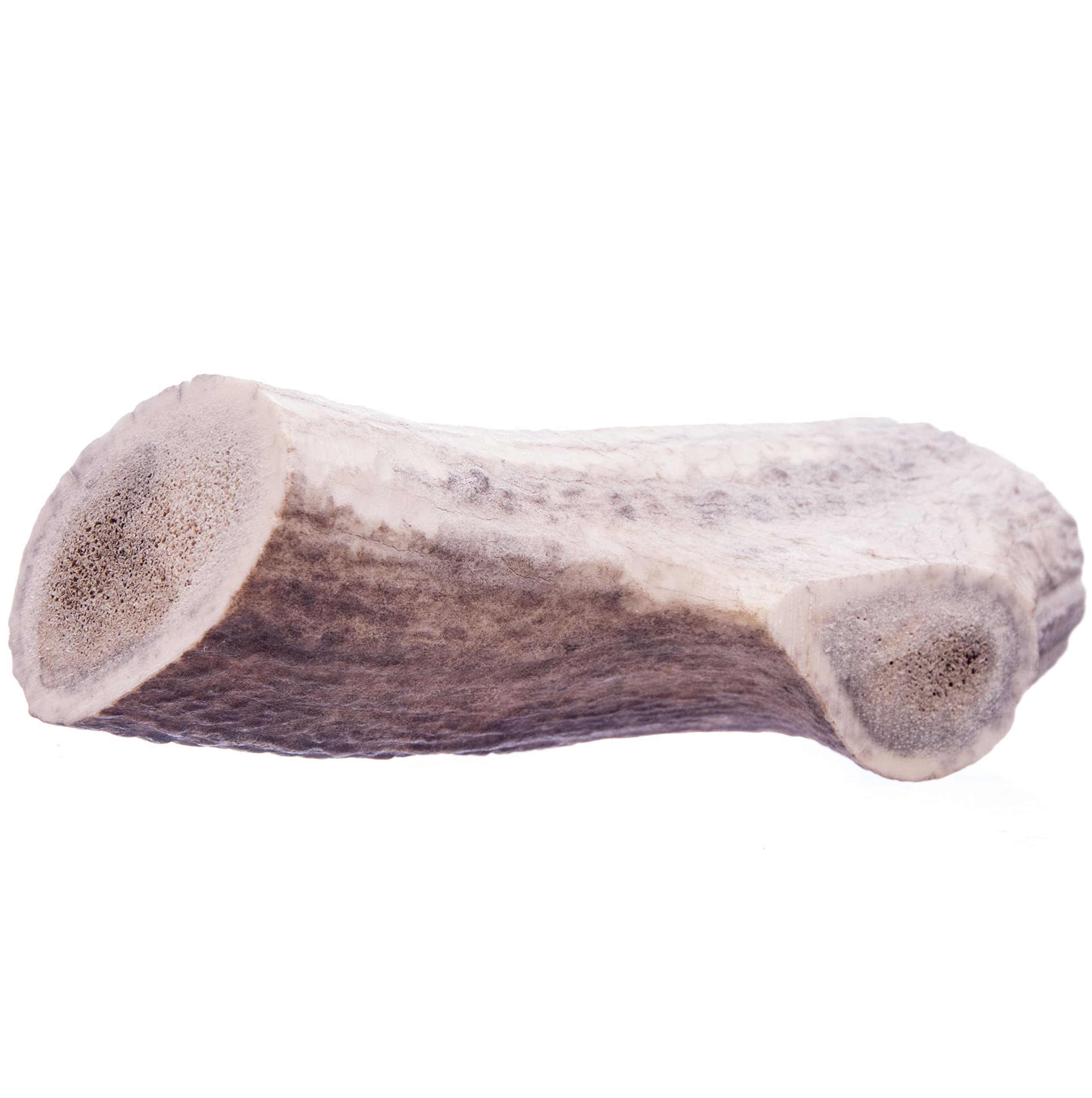 Qt Dog, Llc Monster Antlerz