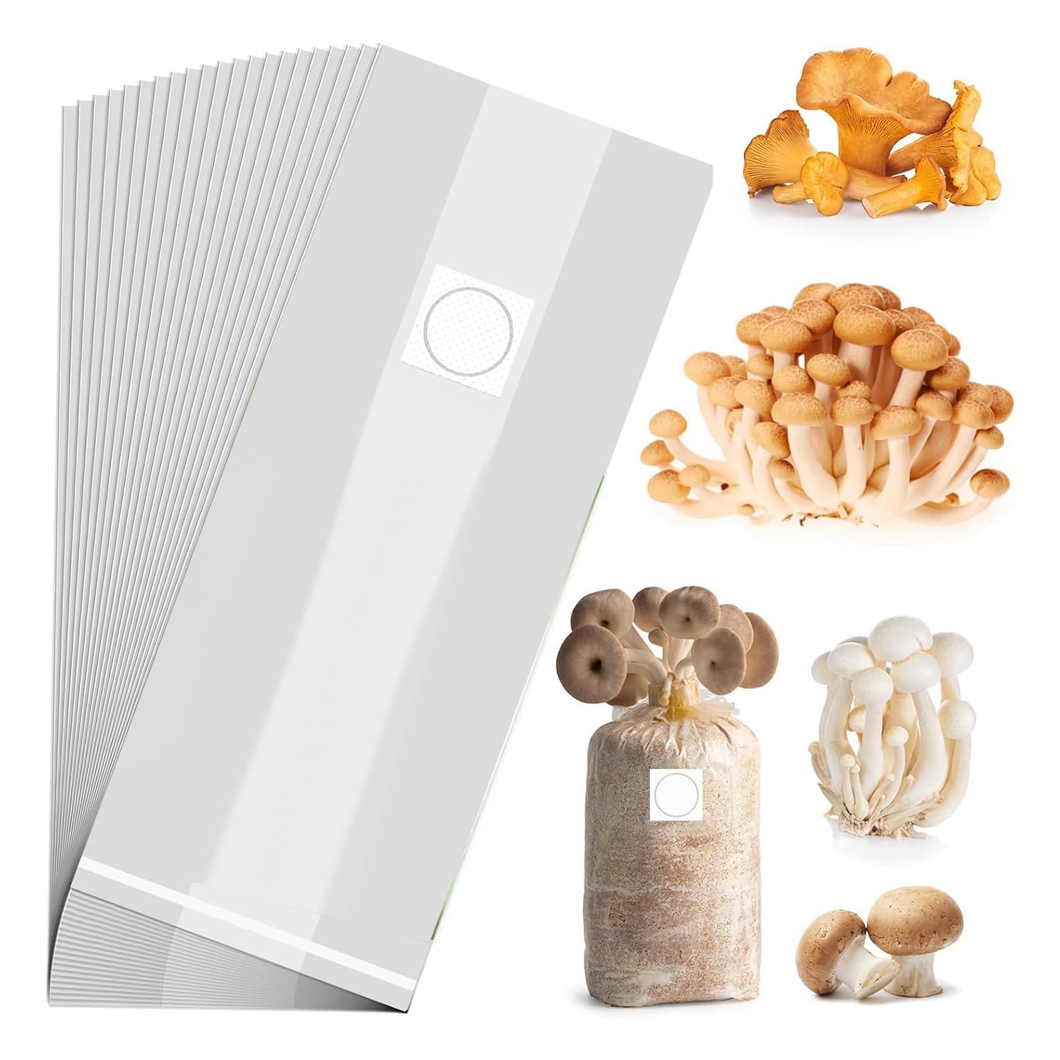 Sac de frai de champignons avec zone respirante et plastique polypropylène ultra fort x50