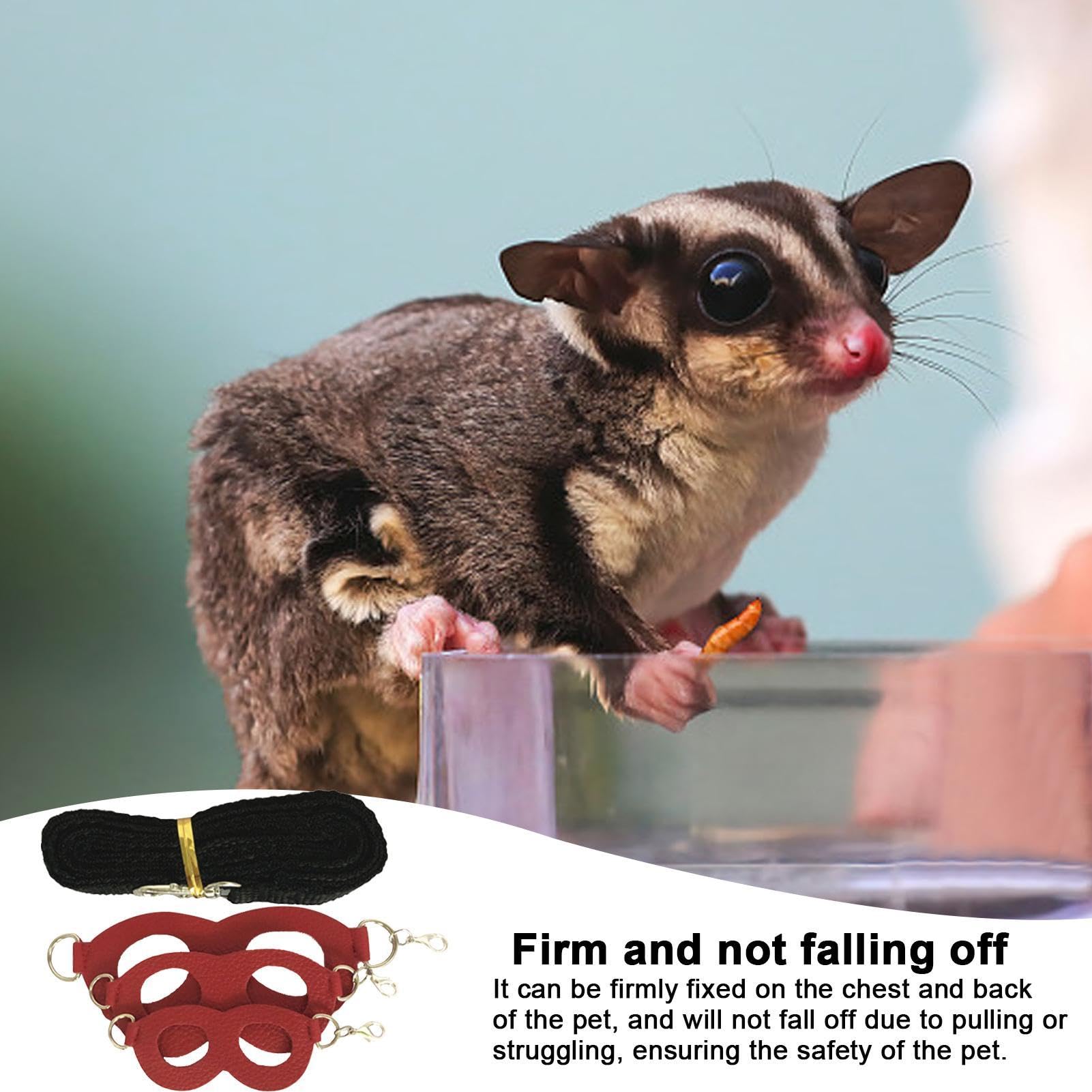 Guinzaglio Per Petauri Dello Zucchero - Set 3 Pezzi Con Gilet Regolabile Per Uso Esterno - Foto 11