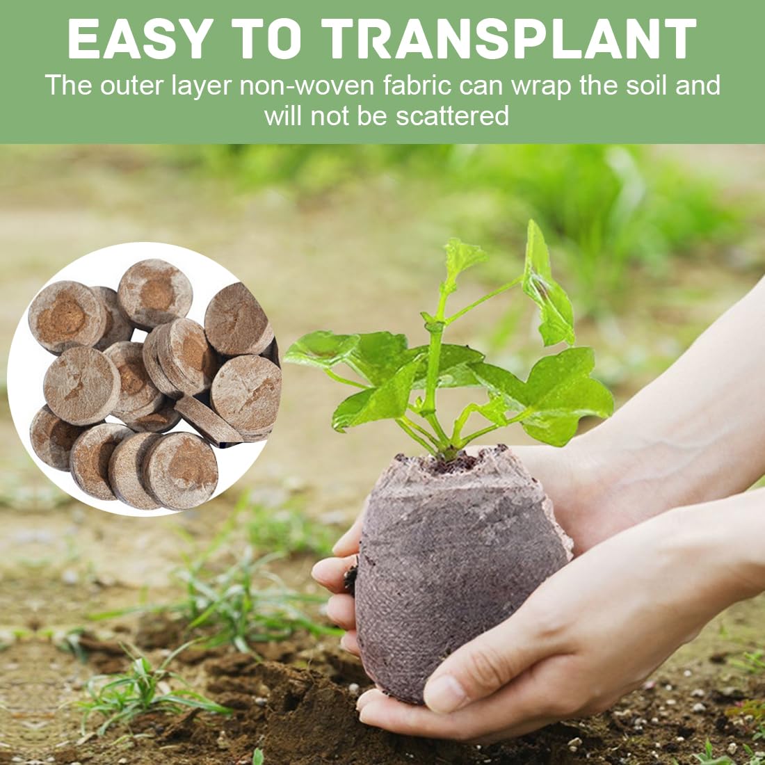 IME Compressed Coconut Soil Pellets Seed Starter Pellets Coir Plugs Pack of 40 Natural Coco Coir Seed Compost Pellets for Seedlings Seed Propagation Germination - Image 4