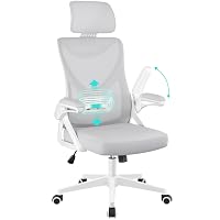 Yaheetech Sedia Ufficio Ergonomica Poltrona Supporto Lombare Grigio Chiaro