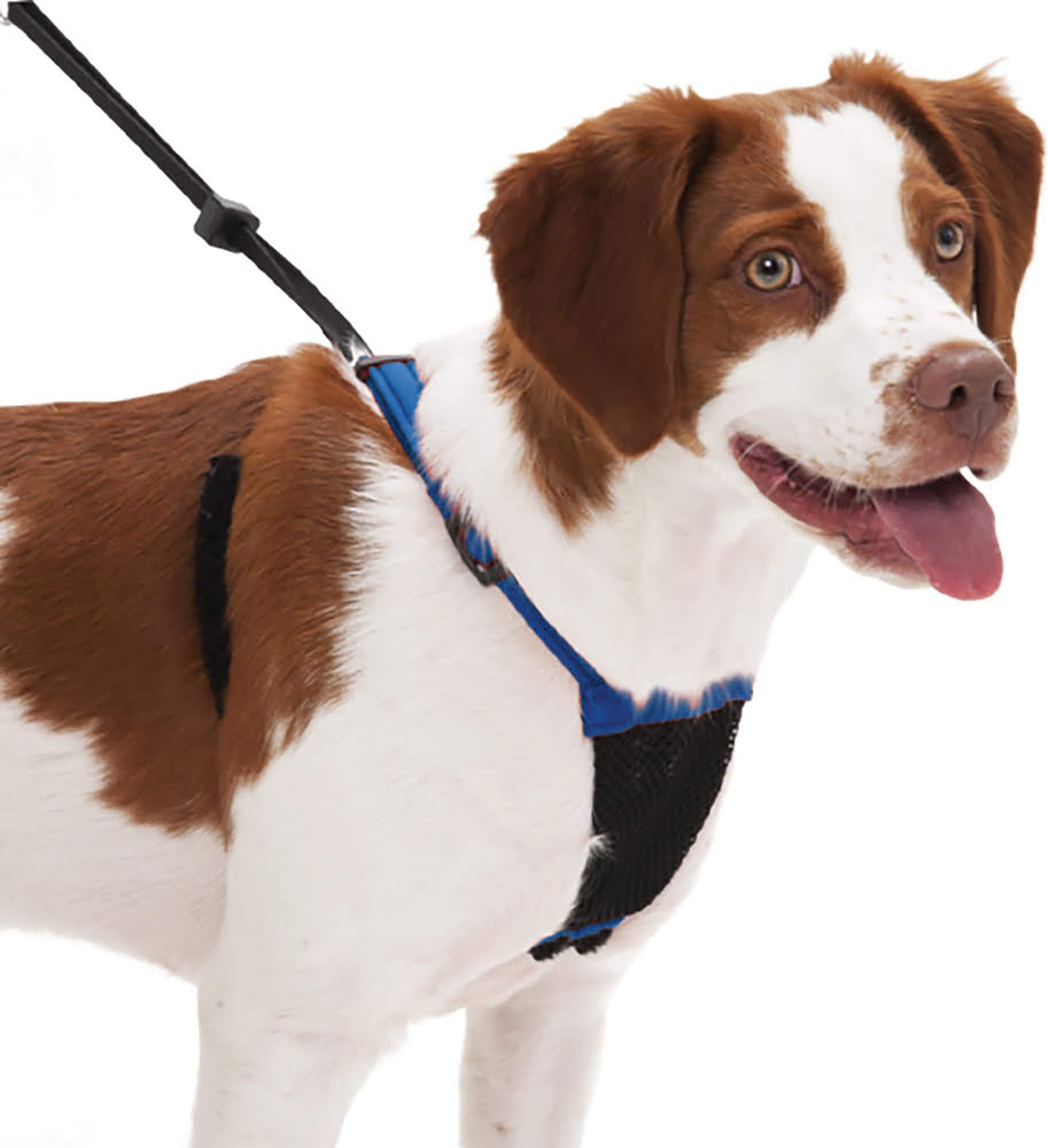 no pull dog harness amazon