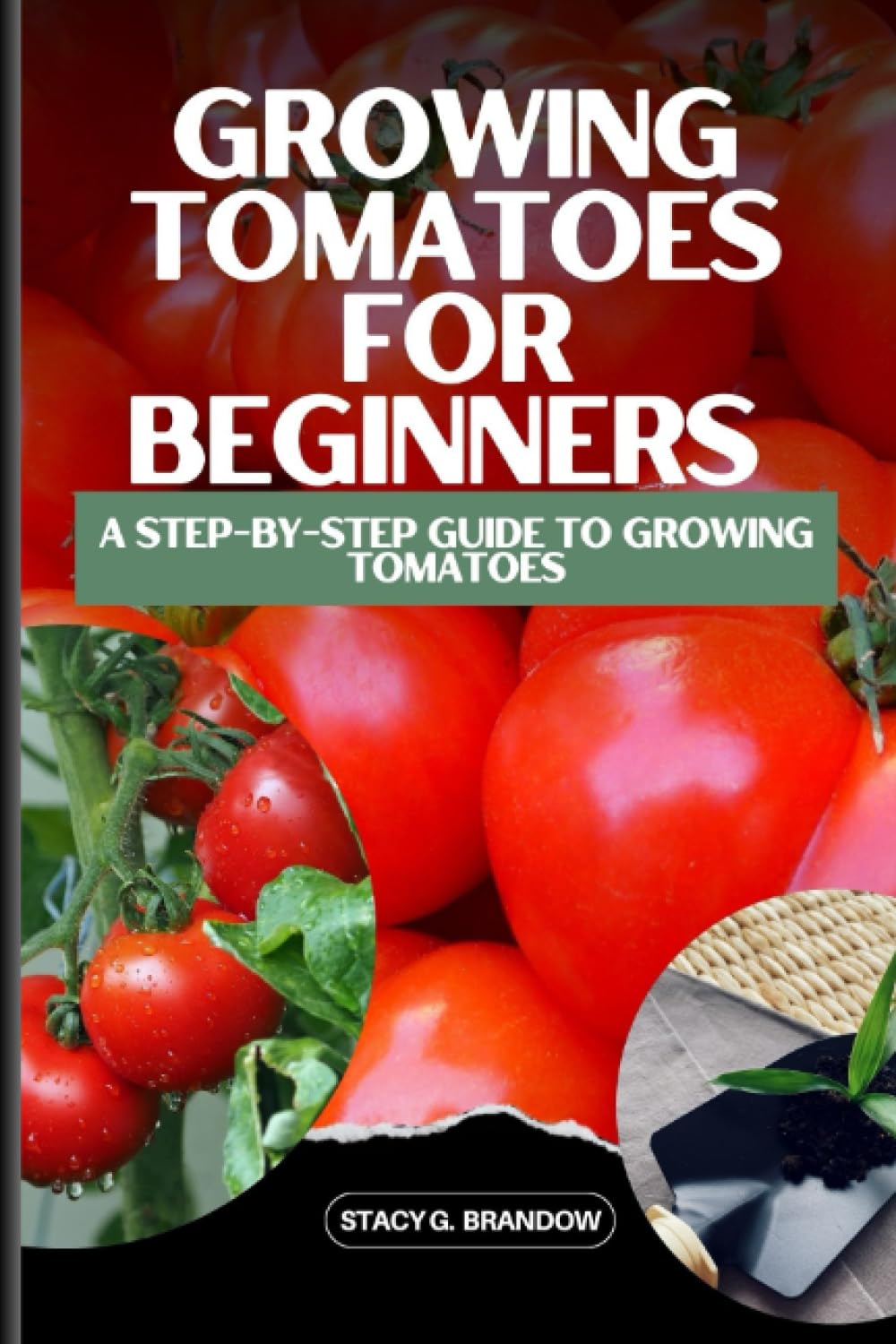 GROWING TOMATOES FOR BEGINNERS: A Step-by-Step Guide to Growing Tomatoes