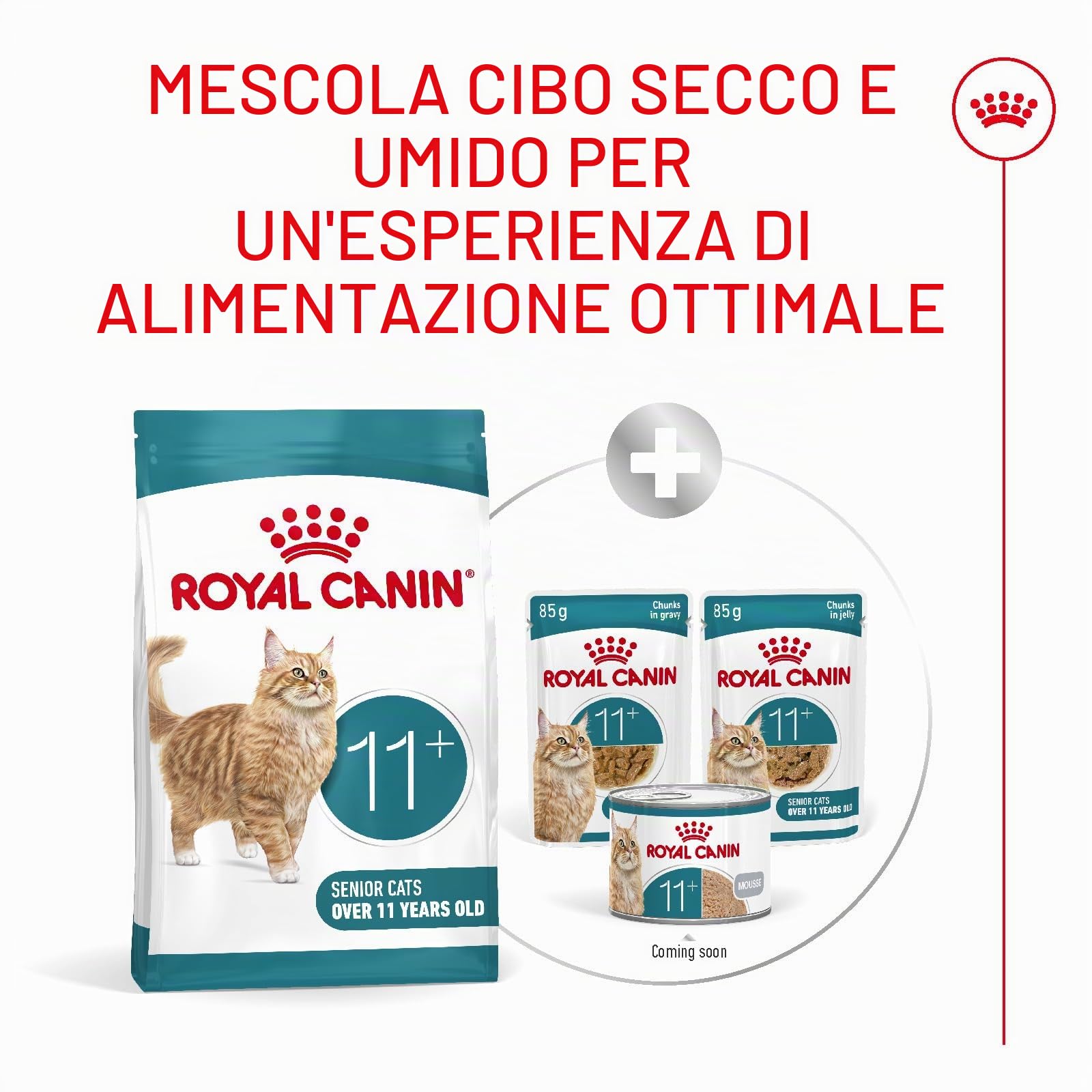 Royal Canin Ageing Sterilised 11+ | 2 kg | Cibo secco per gatti sterilizzati a partire dall'11° anno di vita | Formula con HealthyAge7™ Complex | Contiene crocchette facili da masticare