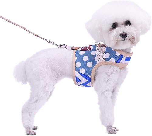 Teacup - Juego de arnés y correa para perro pequeño, chaleco acolchado suave ajustable para taza de té, chihuahua, caniche, yorike, maltés de menos
