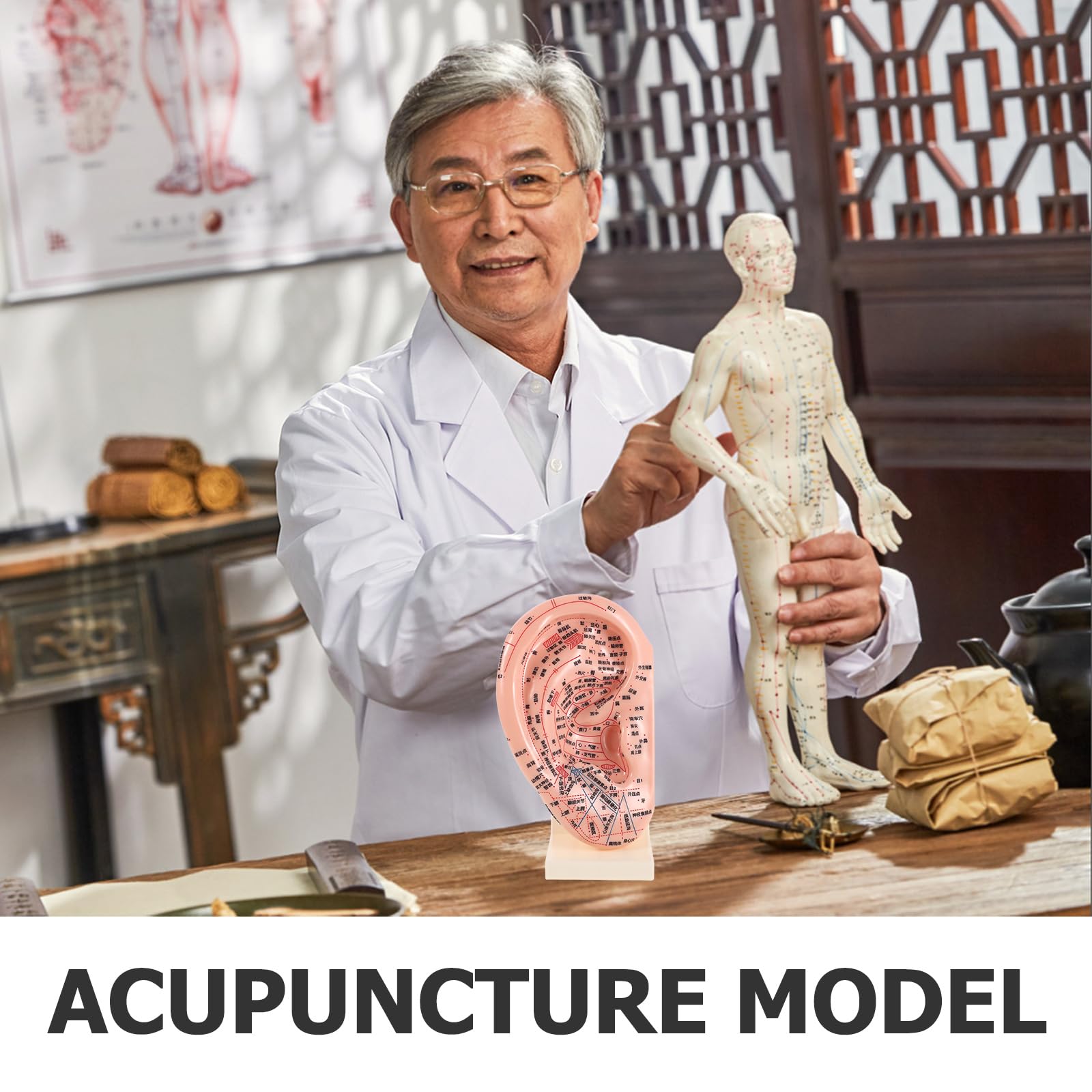 ibasenice Modelo de Aurícula para Acupuntura Soporte 23 Cm, Accesorio Educativo de Reflexología Auricular y Herramienta Práctica para Masaje y Enseñanza en Salones y Escuelas