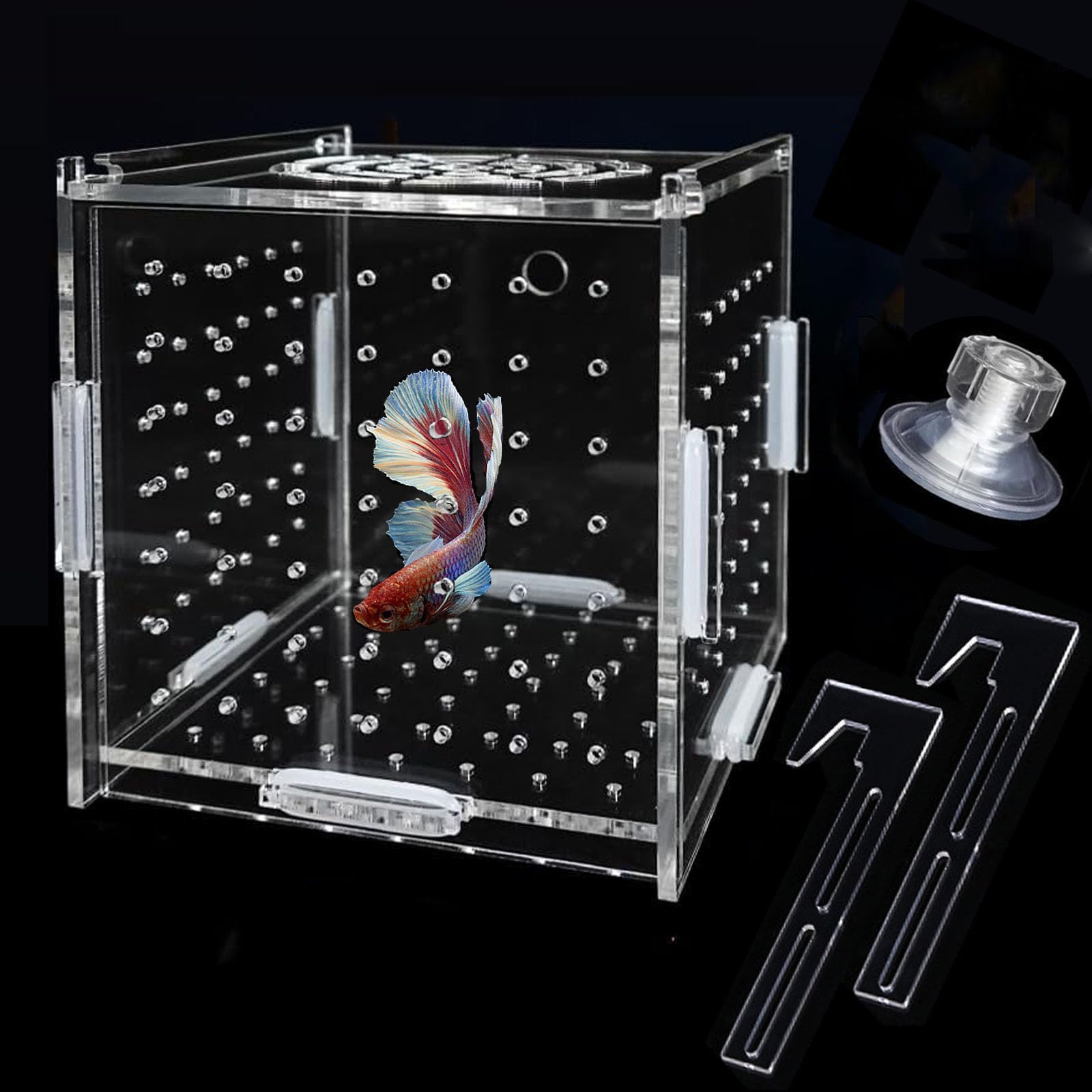 Amazon.co.jp: 稚魚 繁殖隔離ボックス 水槽 隔離ケース 産卵ケース