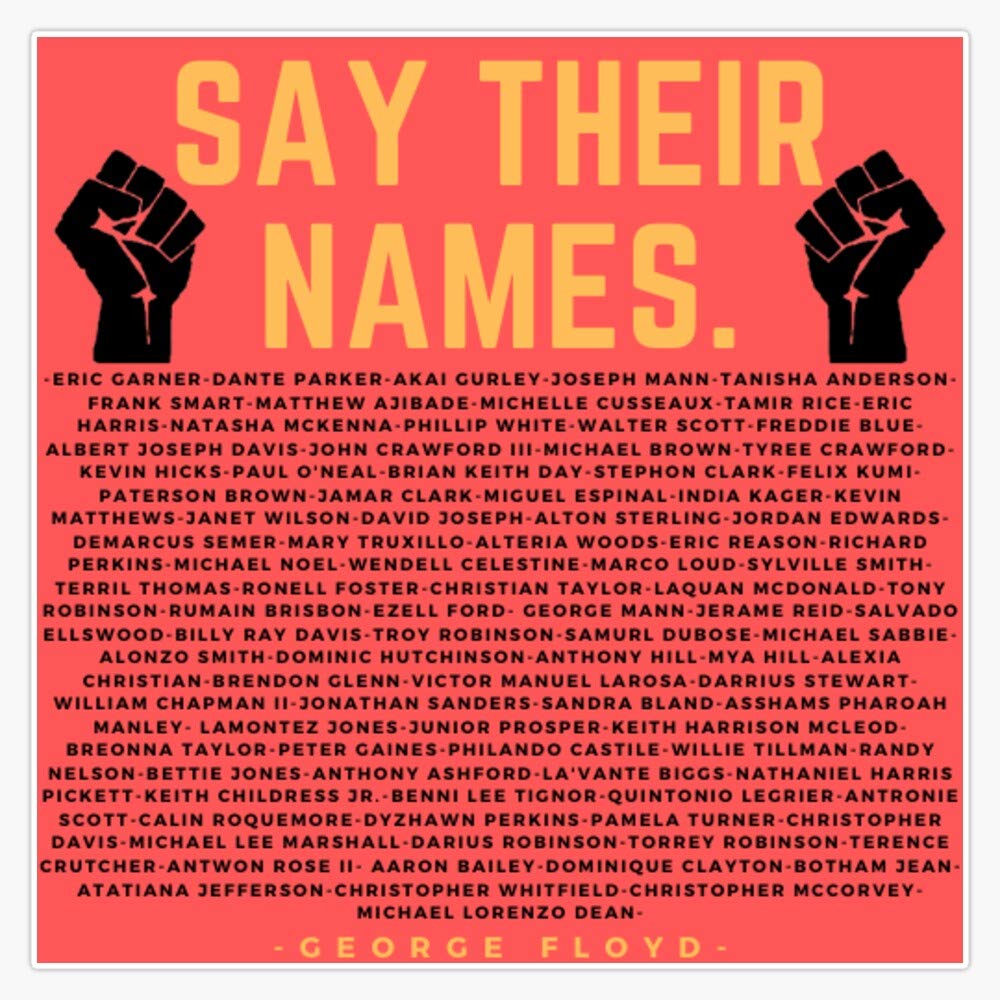Say Their Names. Sticker Vinyl Bumper Sticker Decal Waterproof 5"