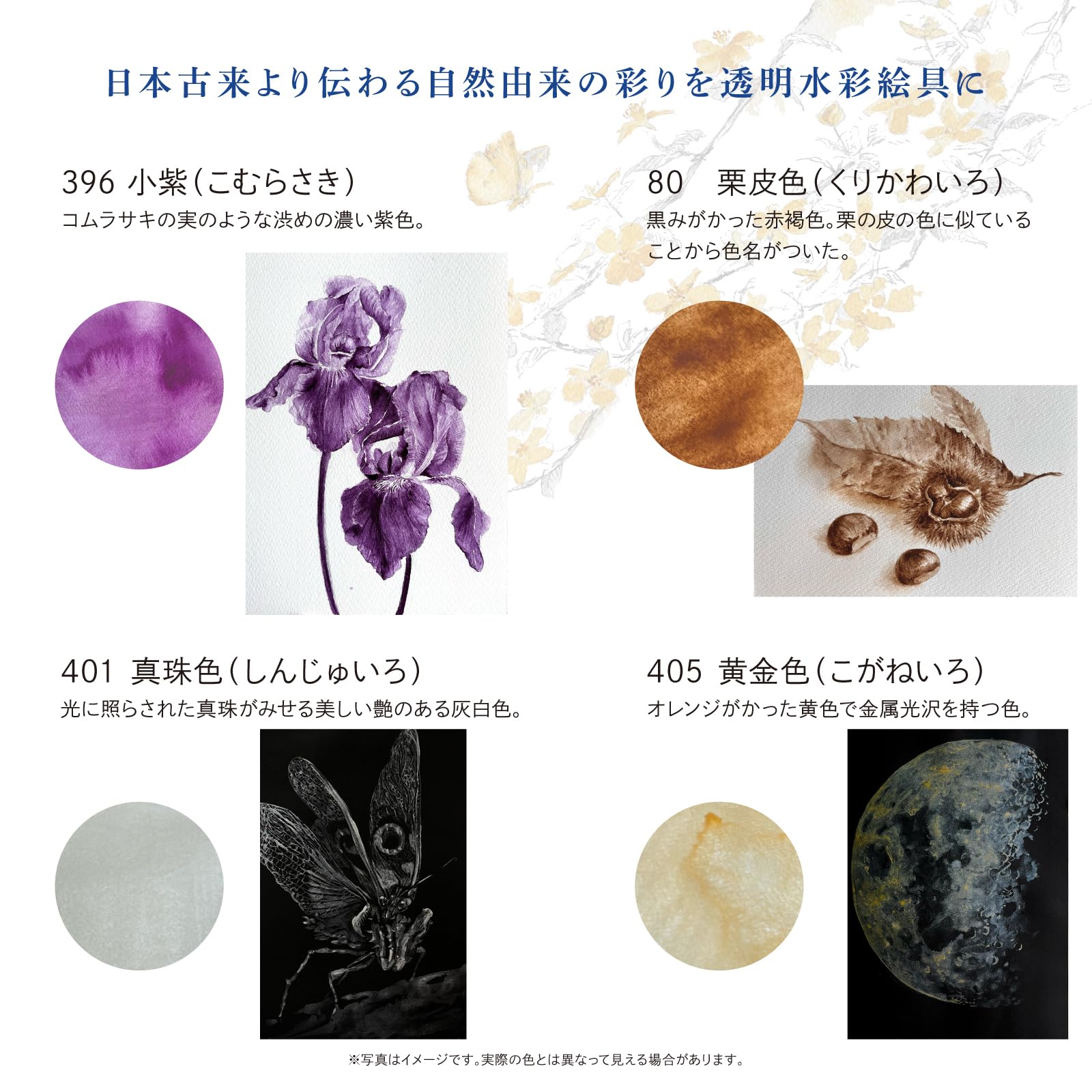 Amazon | ターナー色彩(Turner Colour) 透明水彩絵具 ジャパネスク