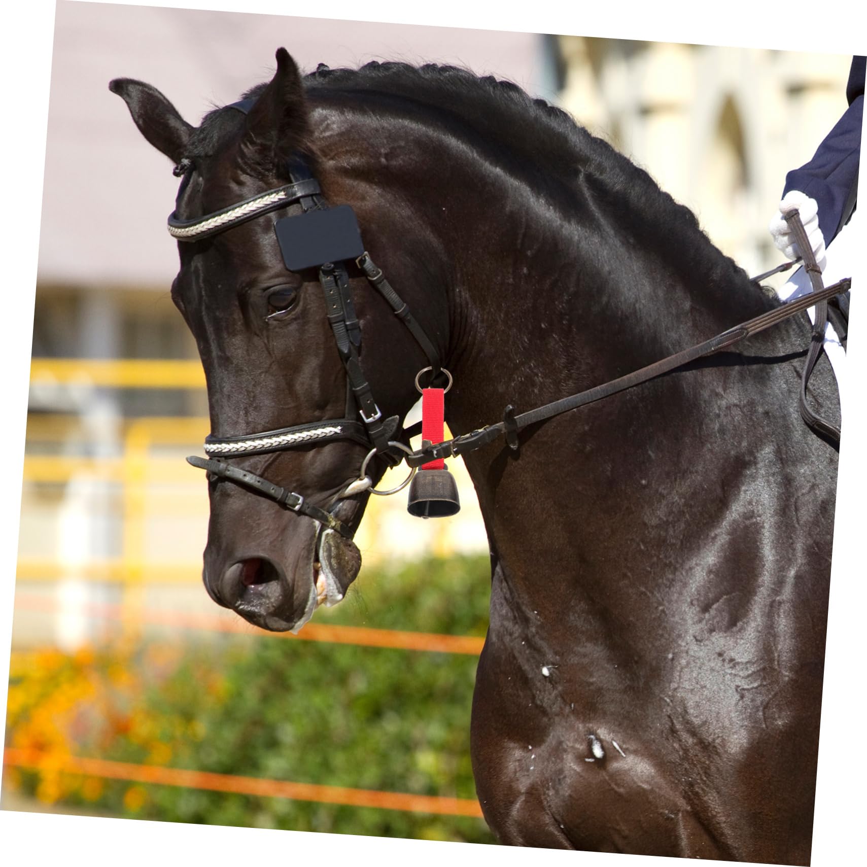 ifundom 2sets Loud Bear Bell Emergency Bear Protection Bell for Hiking Biking Climbing Bright Color with Sound for 5pcs*2