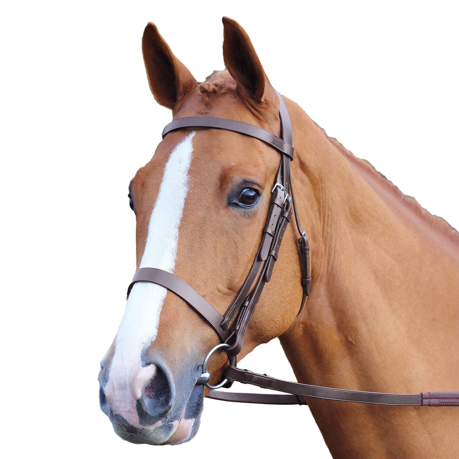 Shires Velociti Gara Plain Bridle