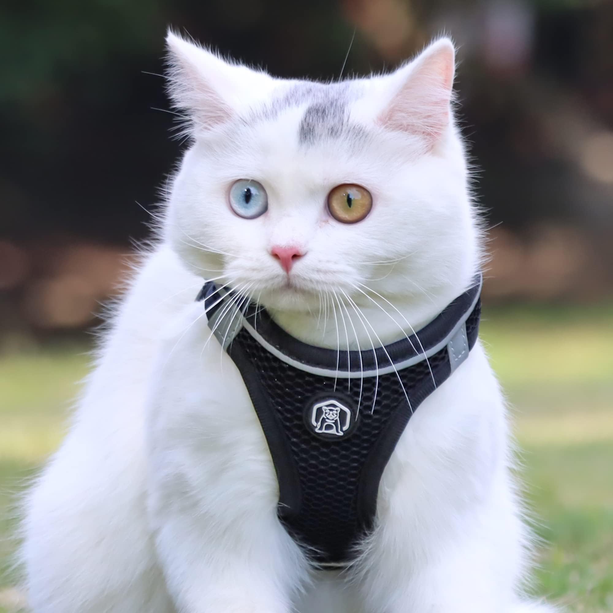 Cat Harness Vest for Small and Medium Cats No Pull, Easy Walk Soft Step in Escape Proof Reflective Harness and Leash Set, XXS Black