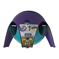Algopix Similar Product 3 - Lixit Igloos and Hideaways for Guinea