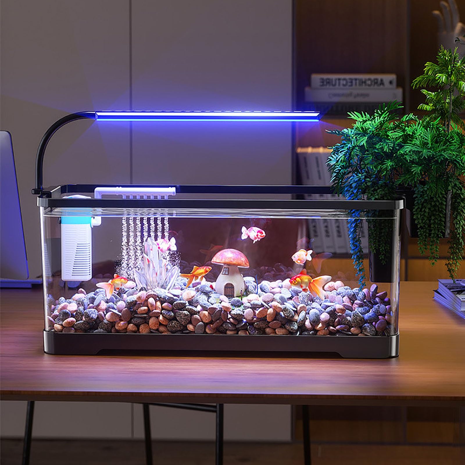 Aquarium avec Filtre Et Lumière, Kit Complet D'aquarium LED pour Petits Poissons, Betta, Chambre d'enfant, Bureau(Medium)