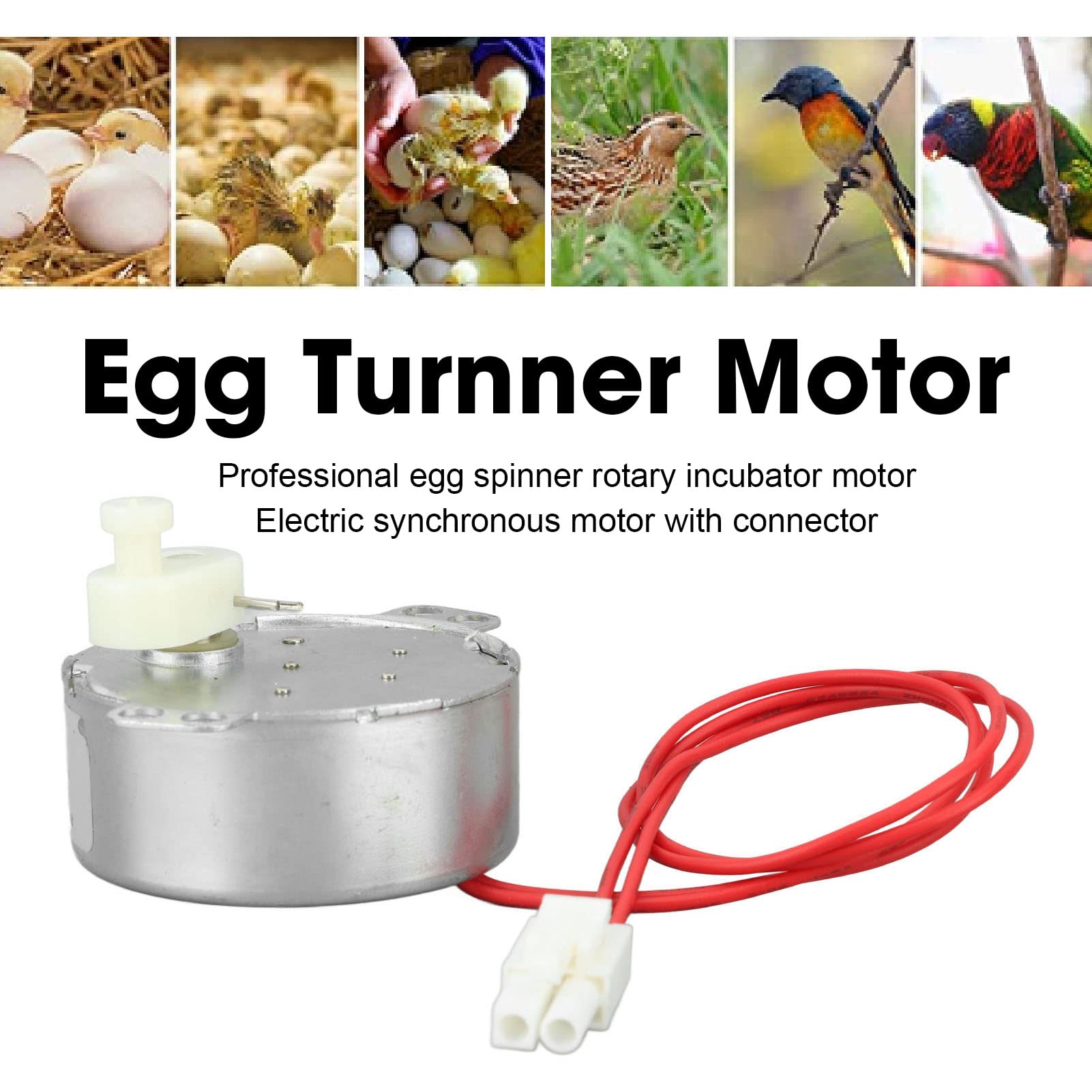 Fdit Moteur de Retourneur D'oeufs, 48 ​​Moteurs de Retournement D'oeufs avec Une Ligne Terminale Petit Moteur D'incubateur Turner Rotator Moteur D'incubateur pour Poulets Canards Oie (12v)