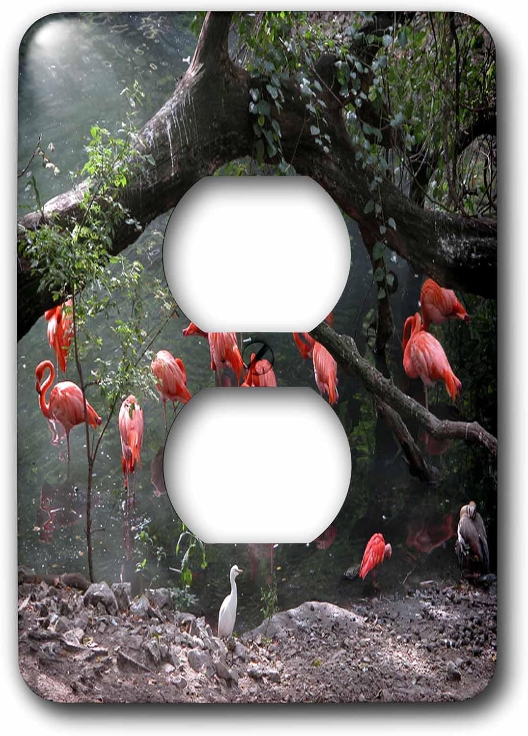 3dRose lsp_17442_6 Flamingos and Friends 2 Plug Outlet Cover