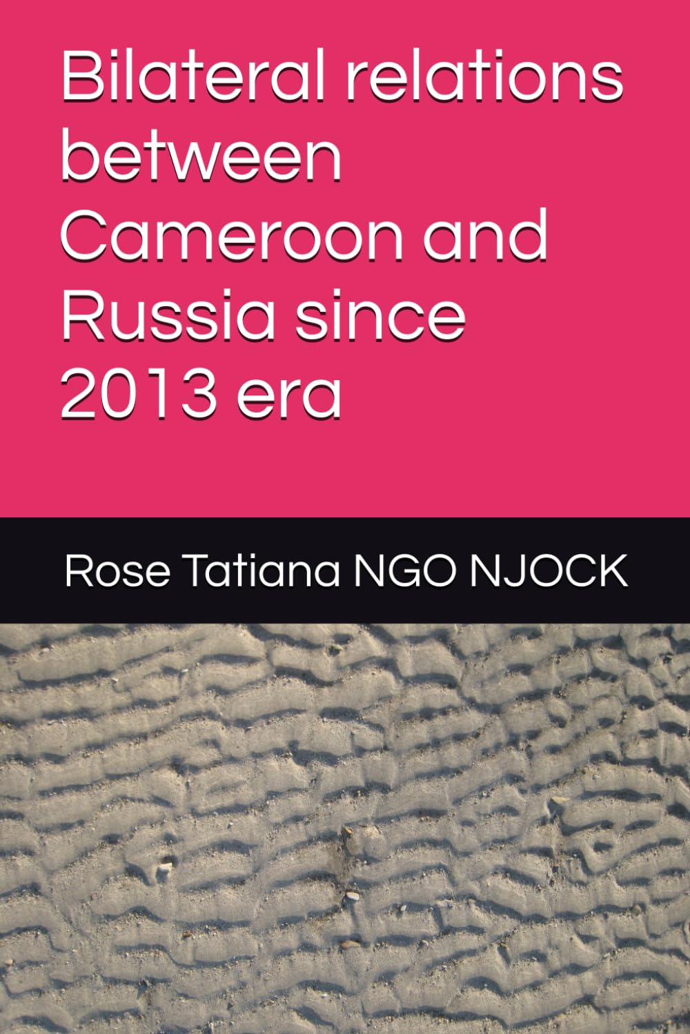 Bilateral relations between Cameroon and Russia since 2013 era