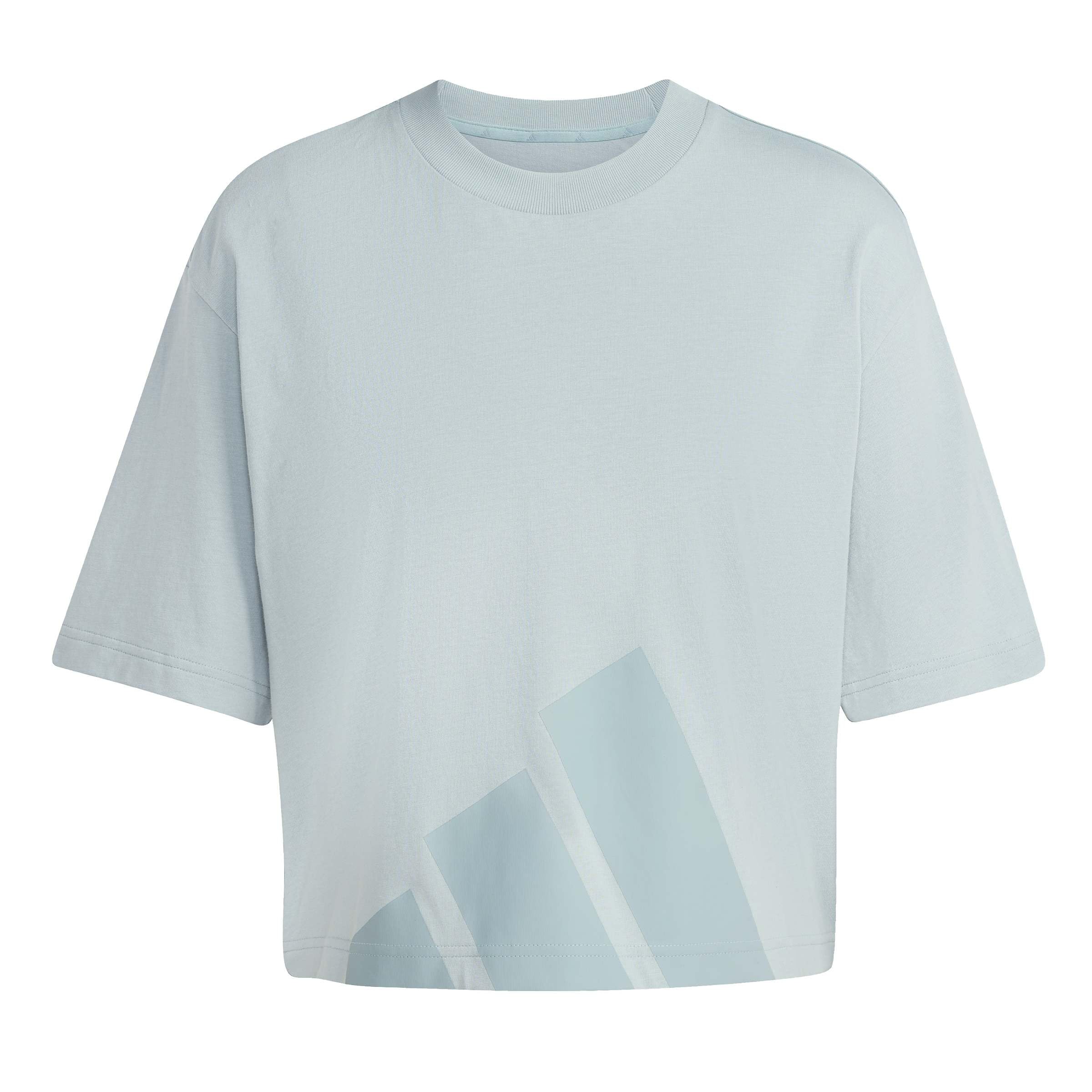 adidas Women's Essentials Big Logo Boyfriend T-Shirt, Wonder Sage/Green Earth, XXL