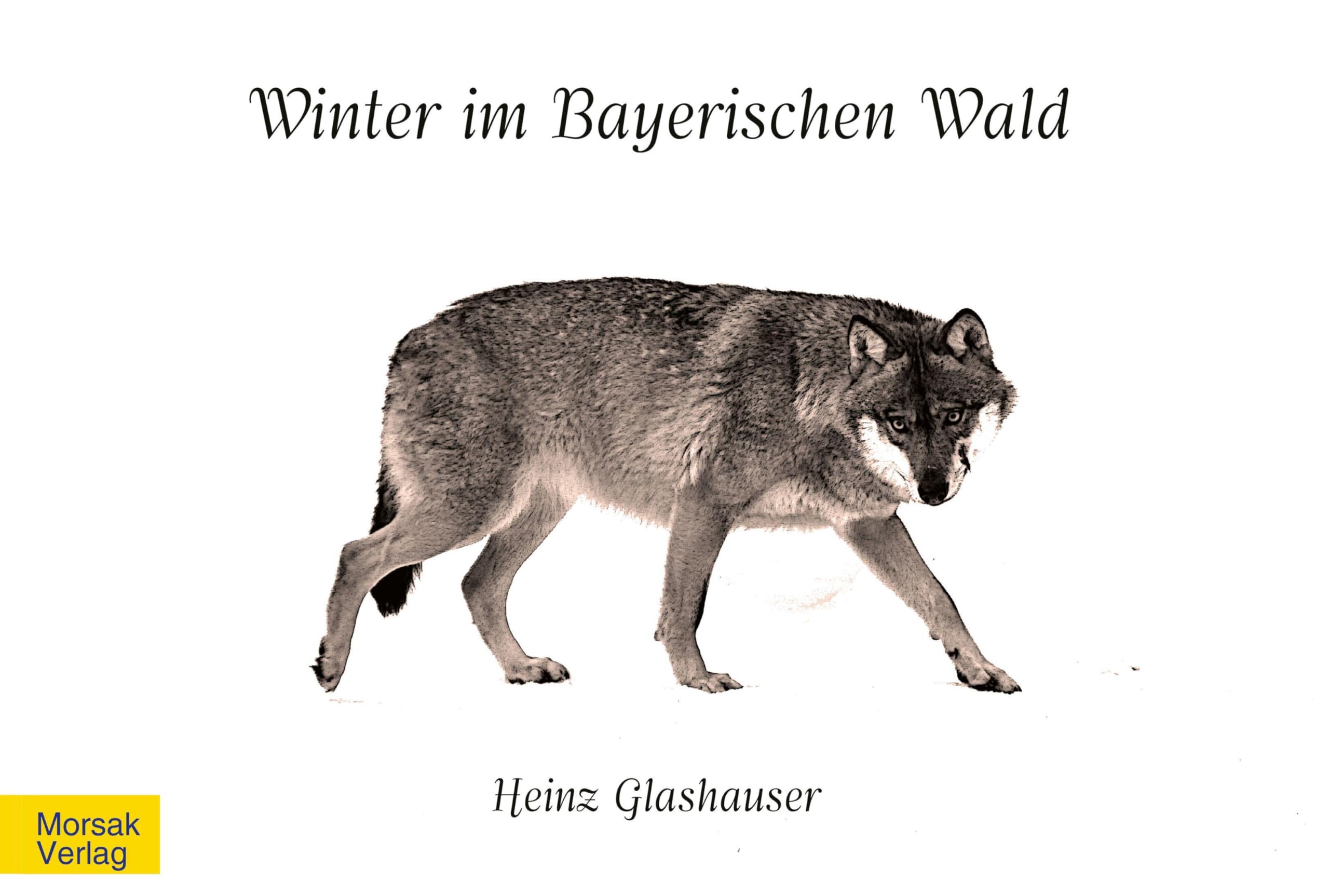 Winter im Bayerischen Wald œuvre artistique édition premium salon