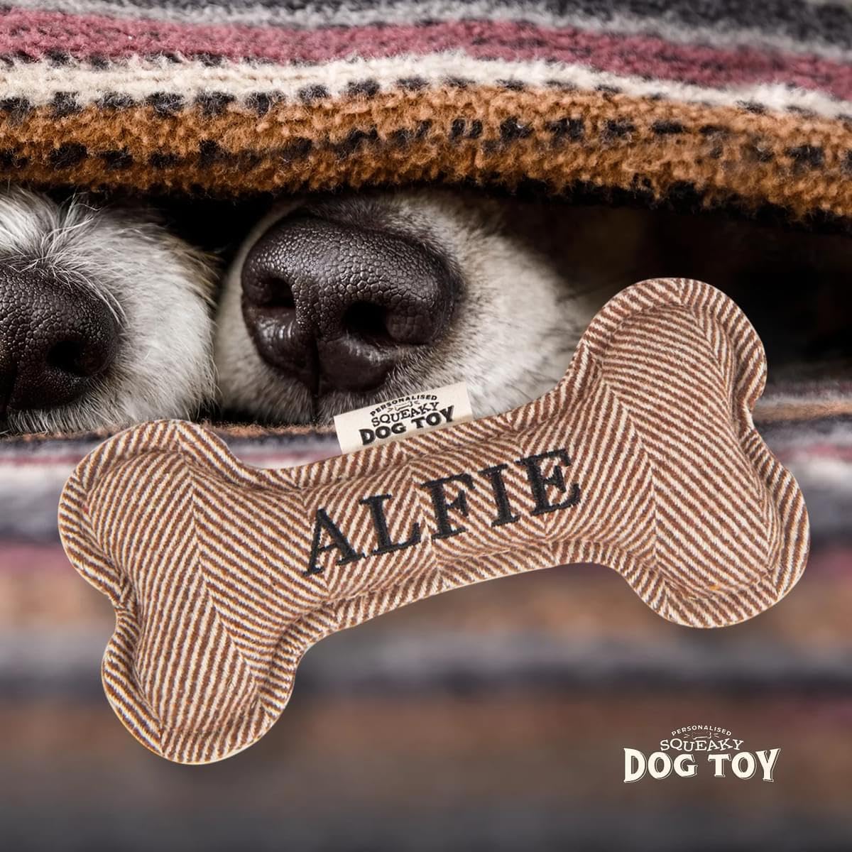 History & Heraldry Squeaky Bone Toy [Names A – J] Alfie