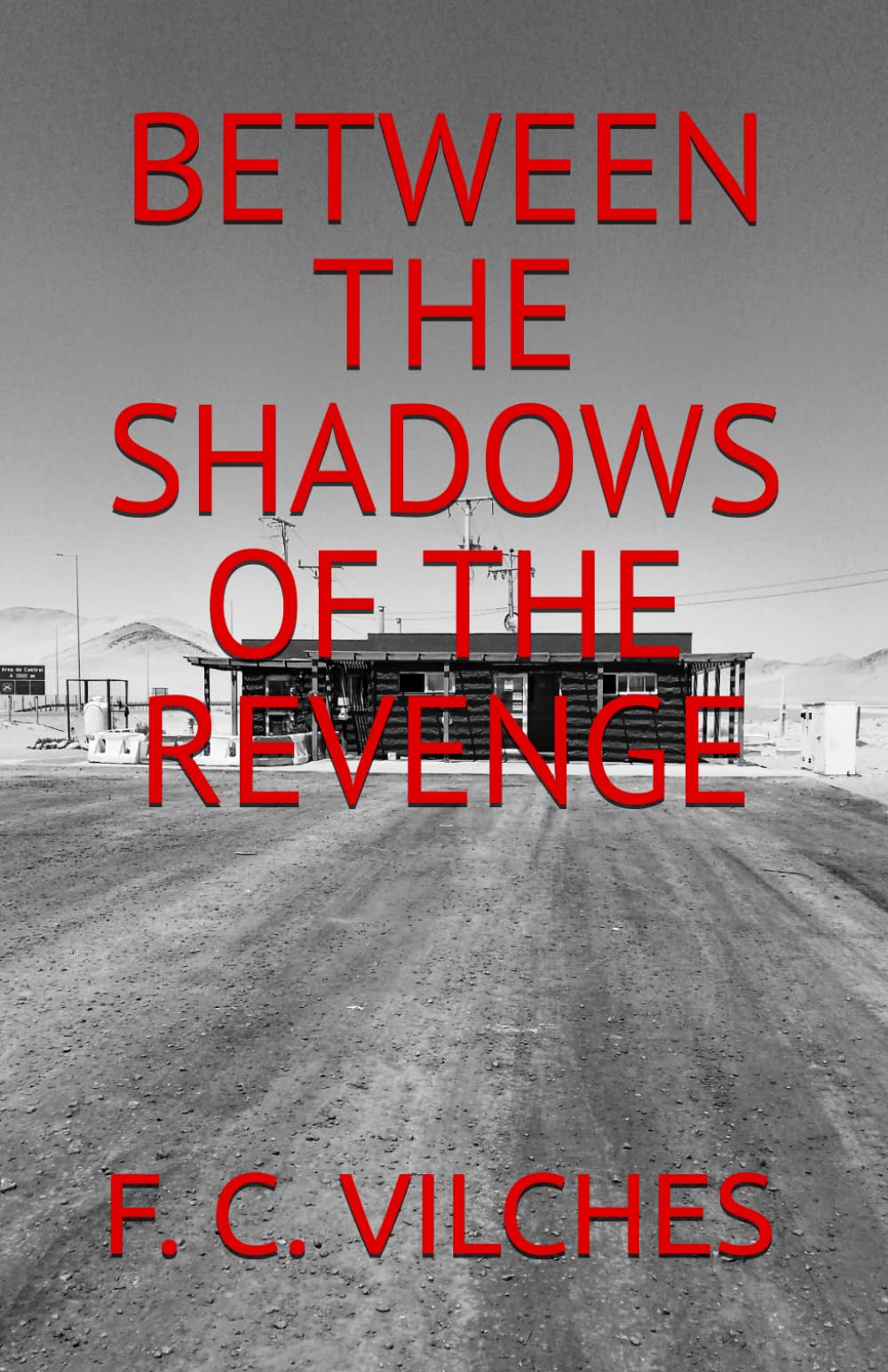 BETWEEN THE SHADOWS OF THE REVENGE